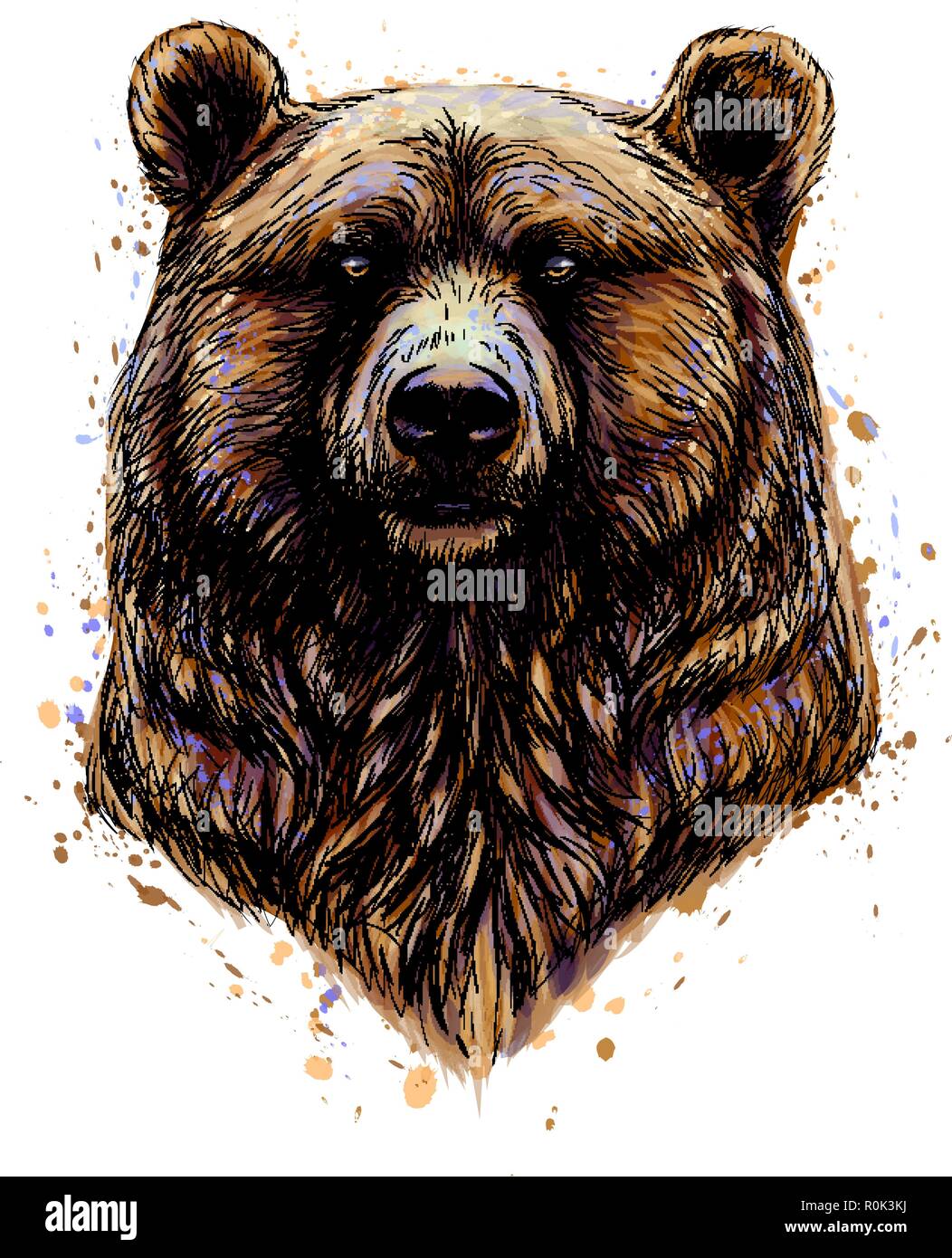 Portrait of a brown bear head from a splash of watercolor Stock Vector