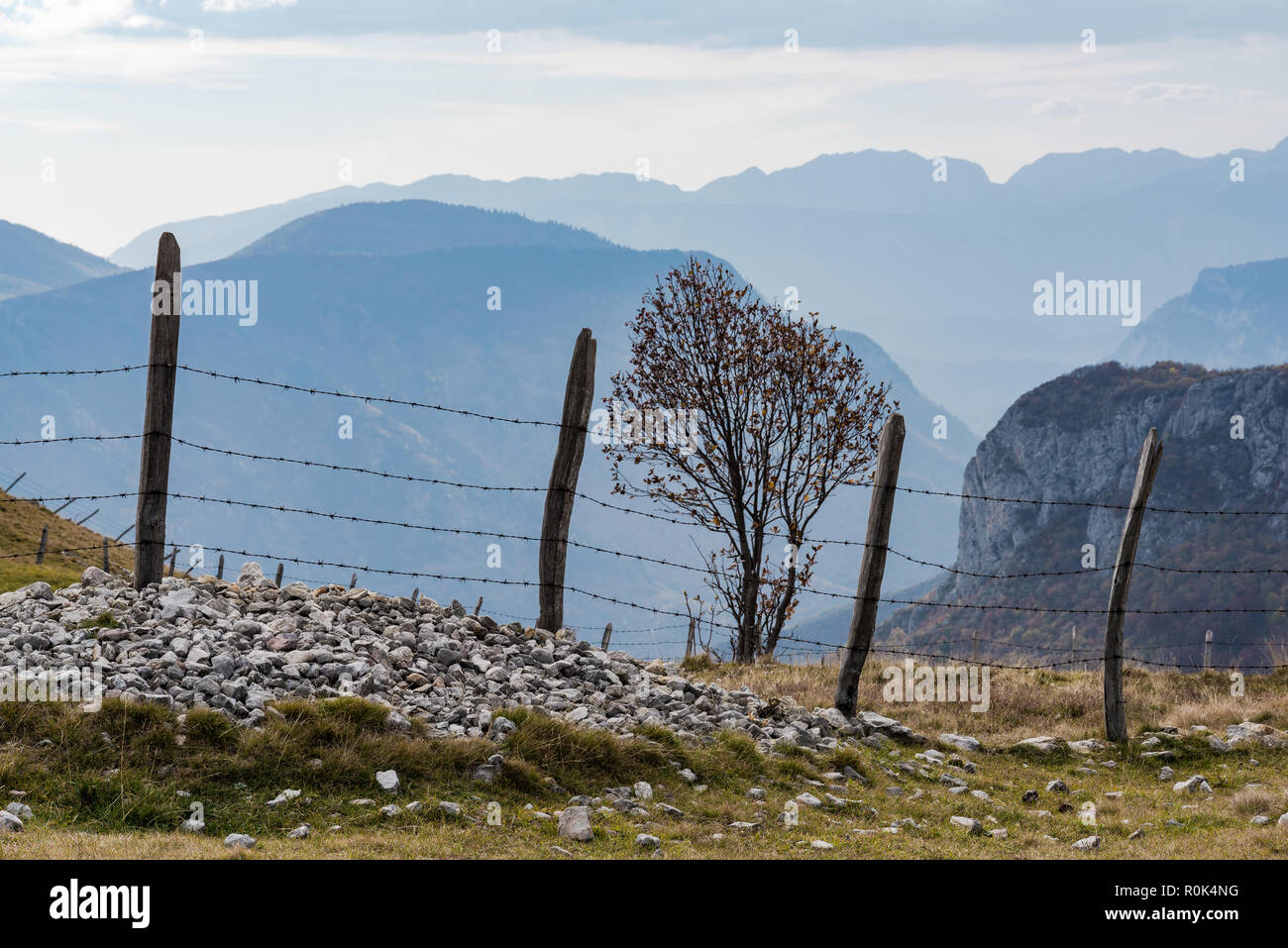 Pasture border hi-res stock photography and images - Alamy