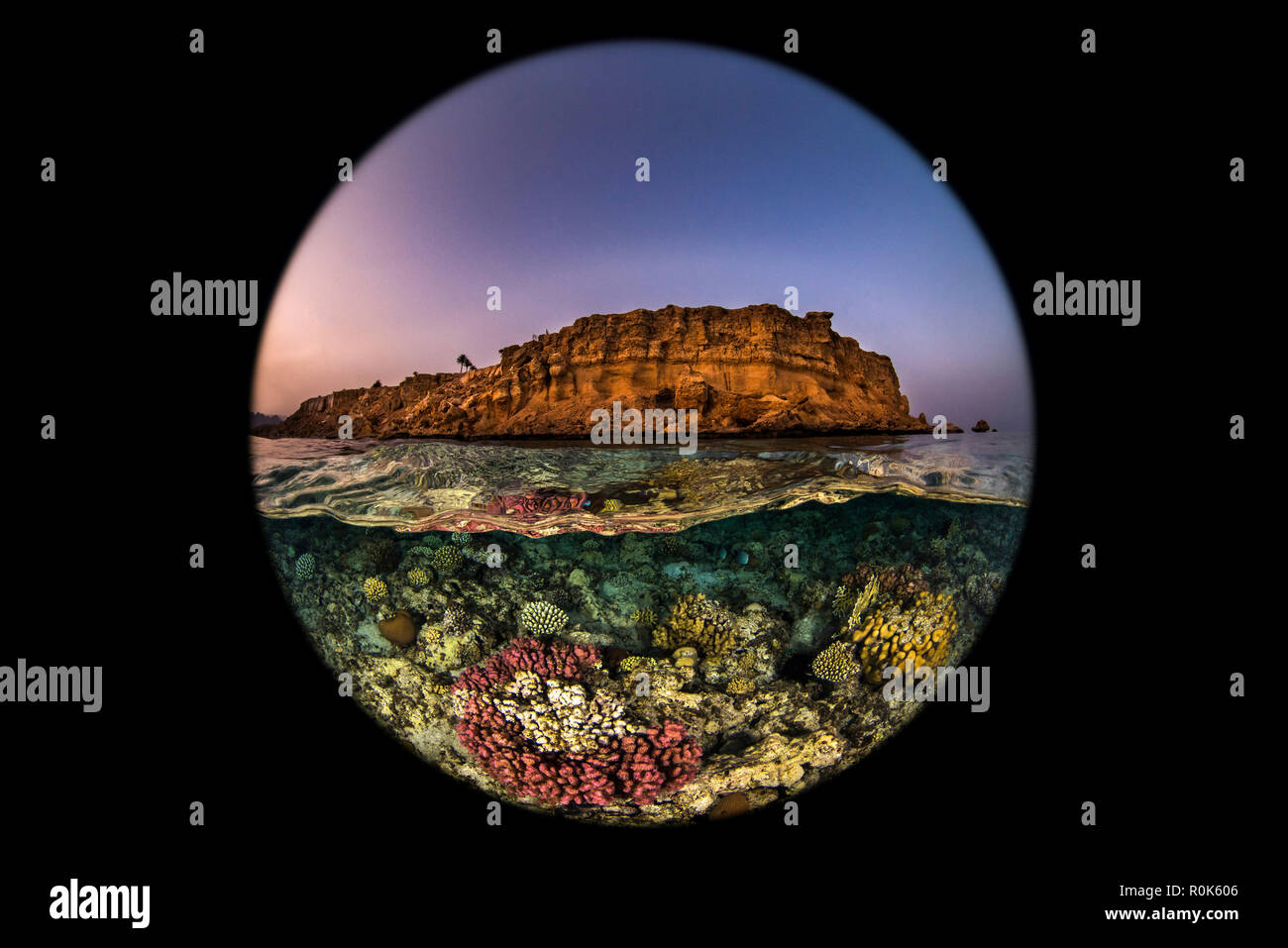 A beautiful coral reef sits just under the surface of the water near a desert mountain. Stock Photo