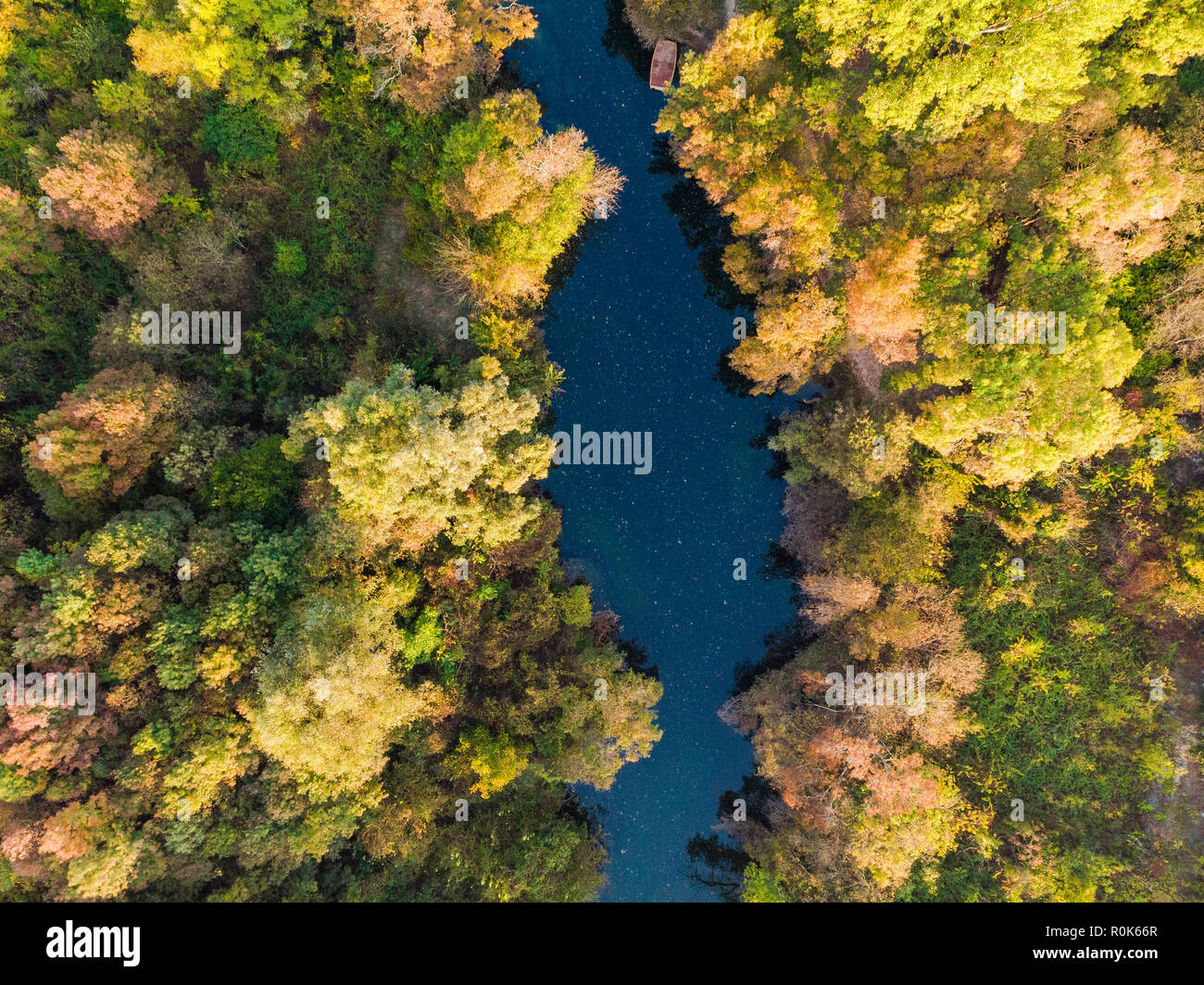 Blue river flow trough forest, top down aerial Stock Photo Alamy