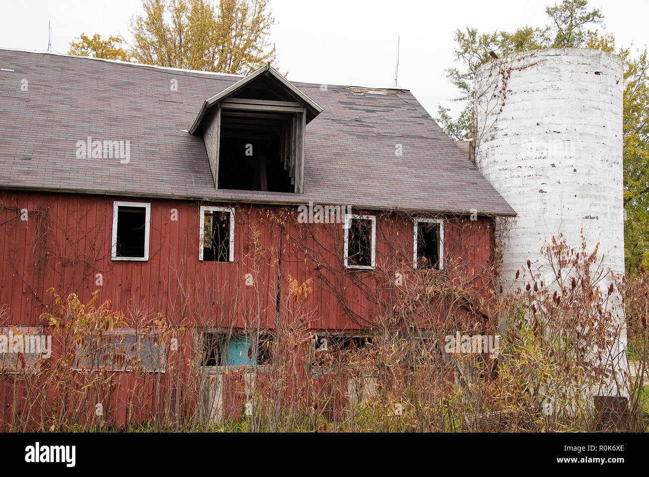 abandoned weathered red ban with white silo in autumn trees Stock Photo