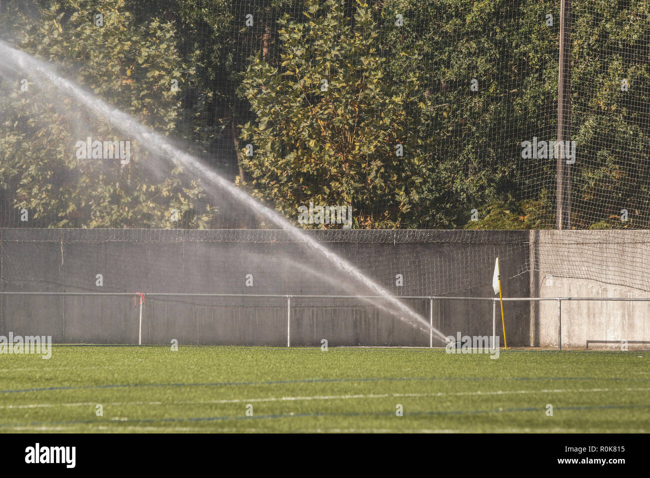 sprinkler watering to green grass field in football / soccer stadium
