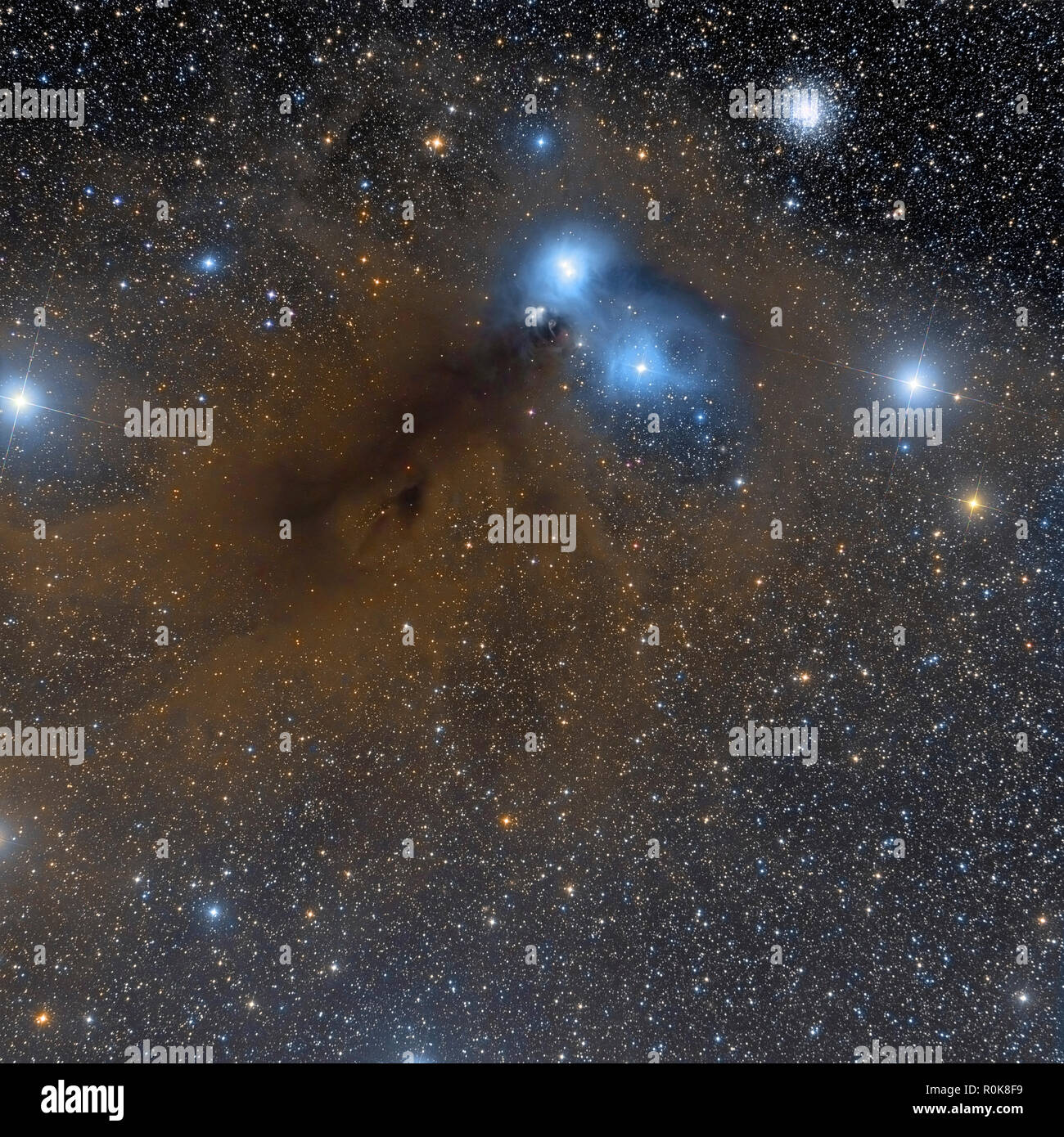 Ngc 6541 hi-res stock photography and images - Alamy