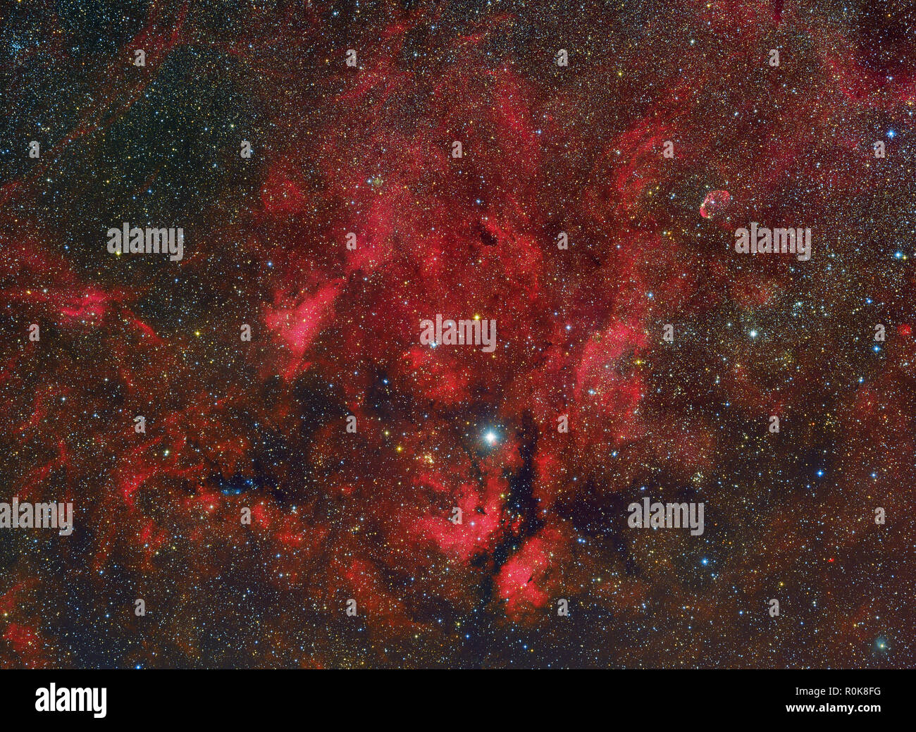 A widefield view from the Propeller Nebula to the Crescent Nebula