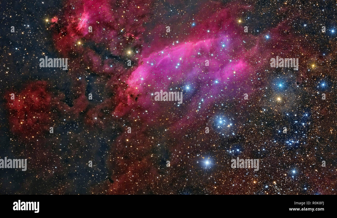 The Prawn Nebula in the constellation Scorpius. Stock Photo