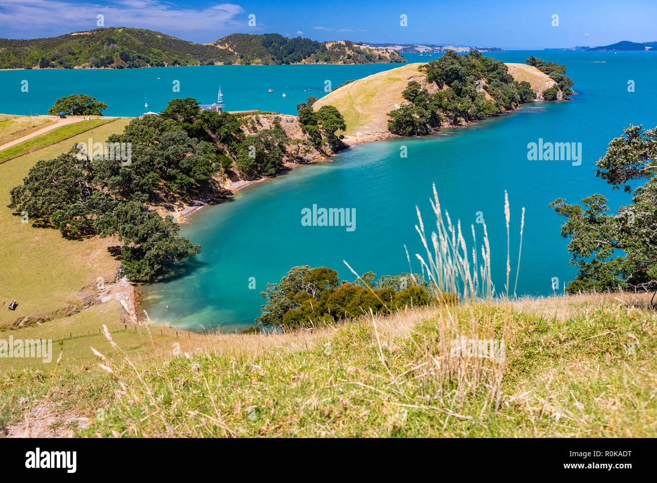 overlooking sea Waiheke Island, New Zeland Stock Photo - Alamy