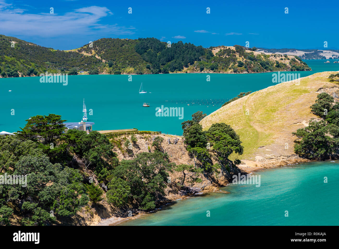 overlooking sea Waiheke Island, New Zeland Stock Photo Alamy