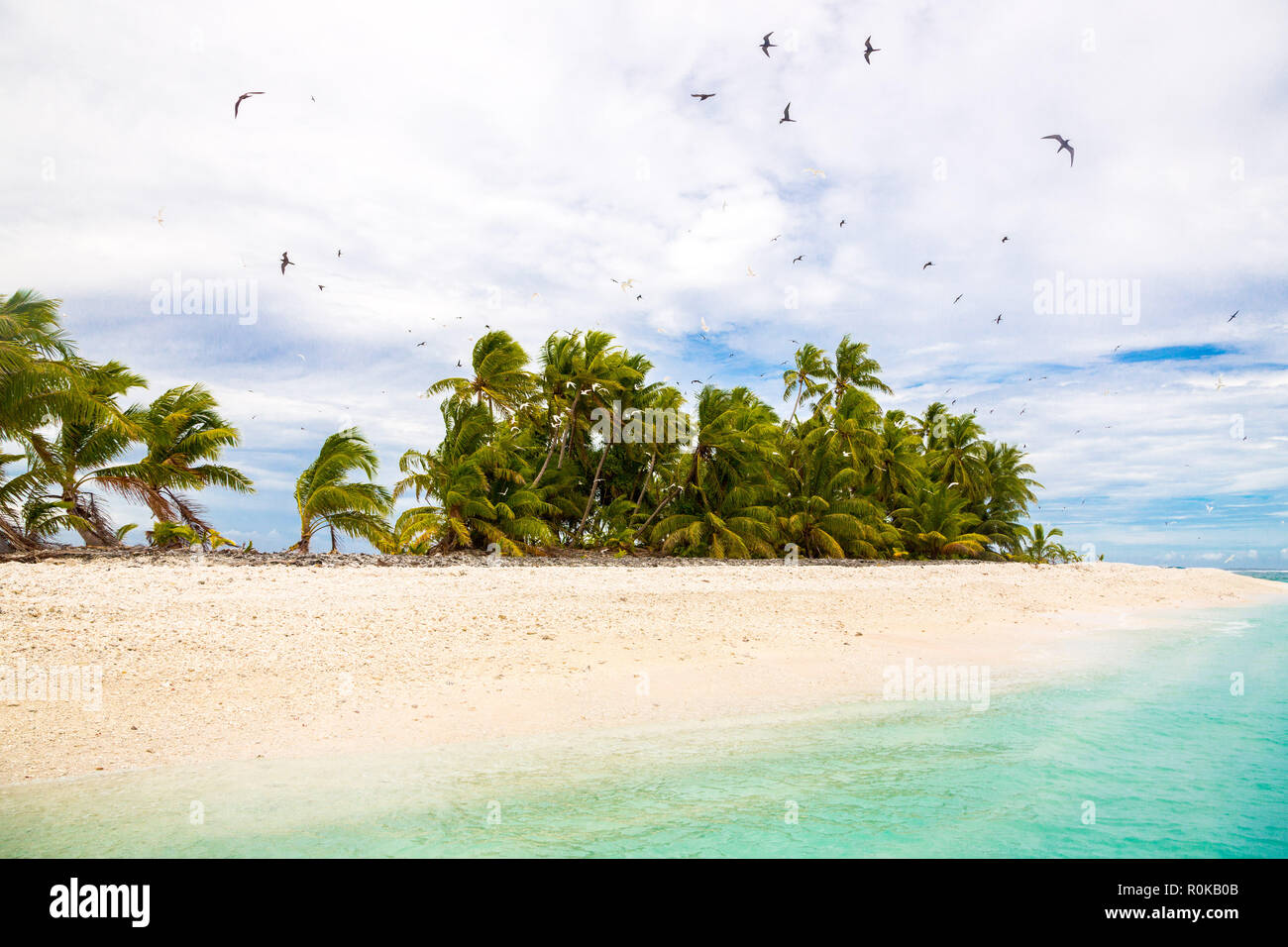 Small remote tropical island (motu) overgrown with palms in azure turquoise blue lagoon. Yellow sandy beach, big flock of birds flying above. Tuvalu. Stock Photo