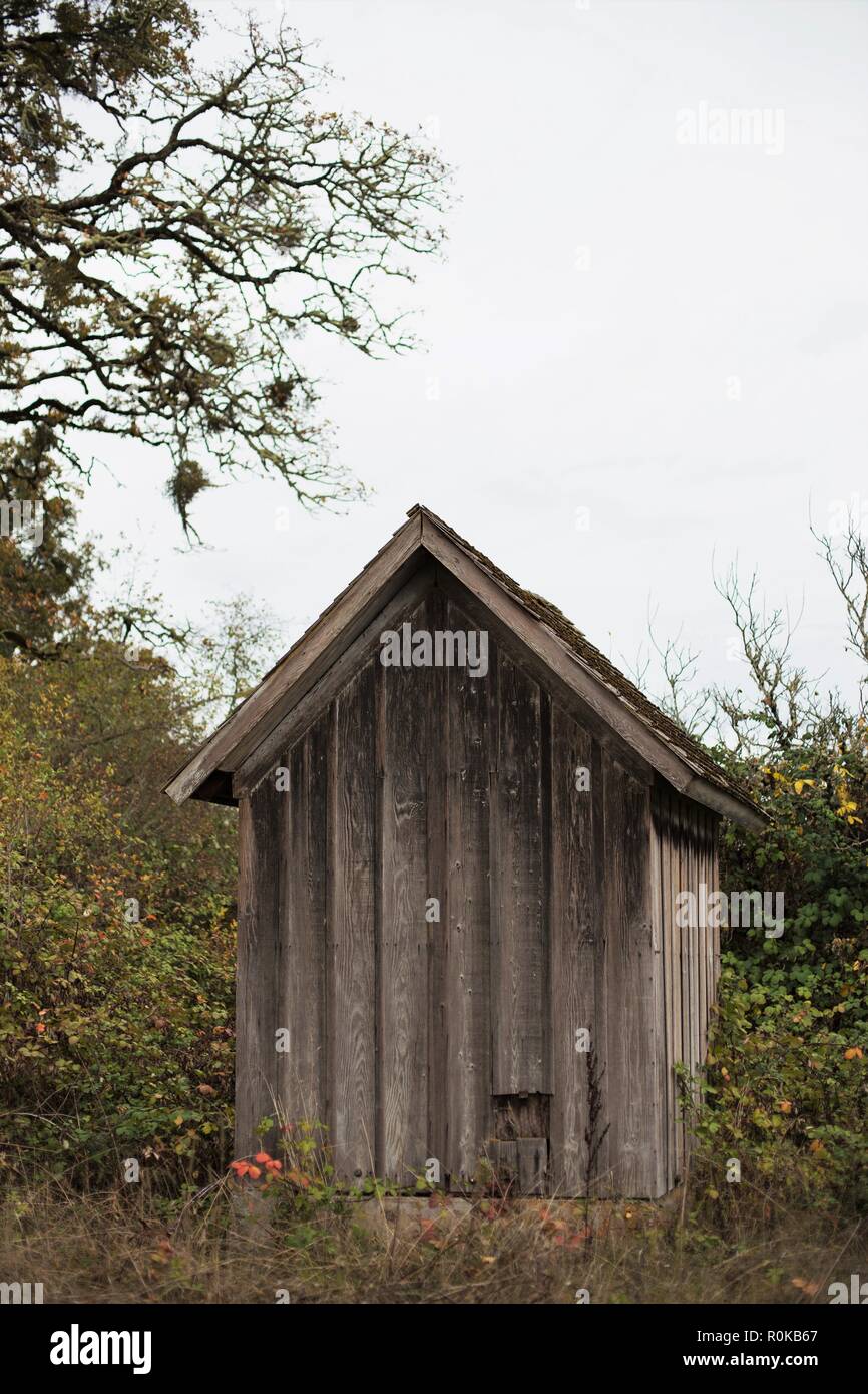 An old wooden shed at William Finley Wildlife Refuge near Monroe, OR