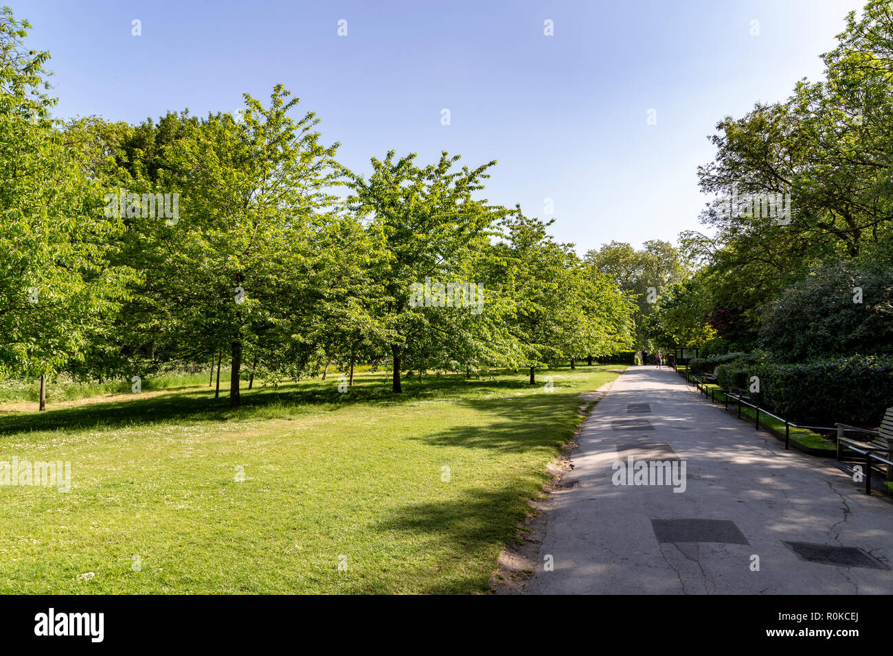 Regent's Park, London, United Kingdom Stock Photo - Alamy