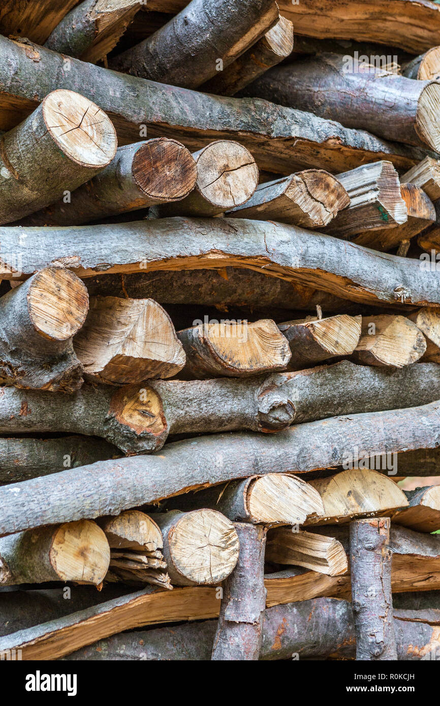 Close up of wood pile of cut tree trunks, Luxembourg, Europe Stock Photo