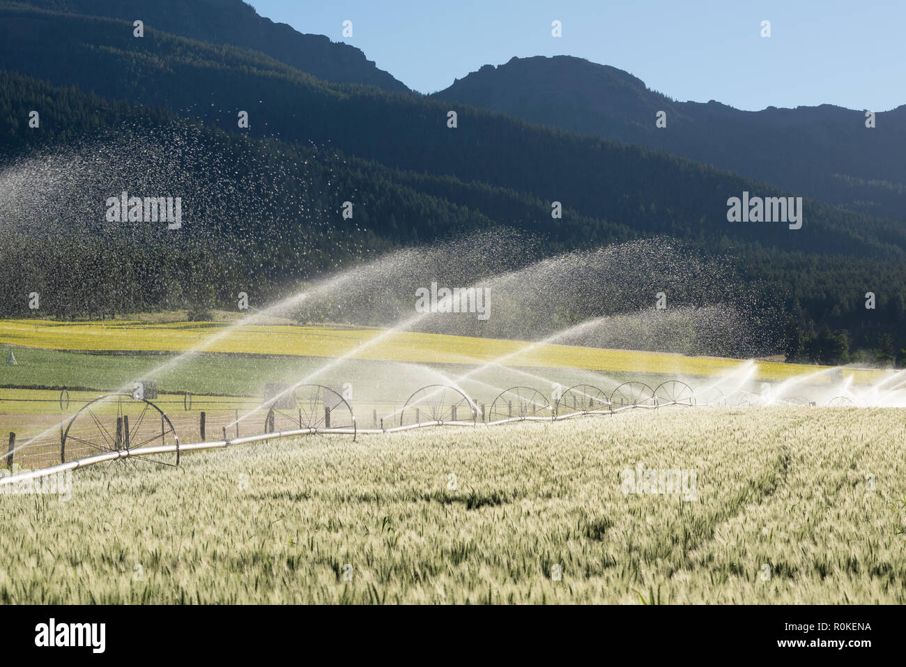 Wheel line irrigation on a farm in Oregon's Wallowa Valley Stock Photo
