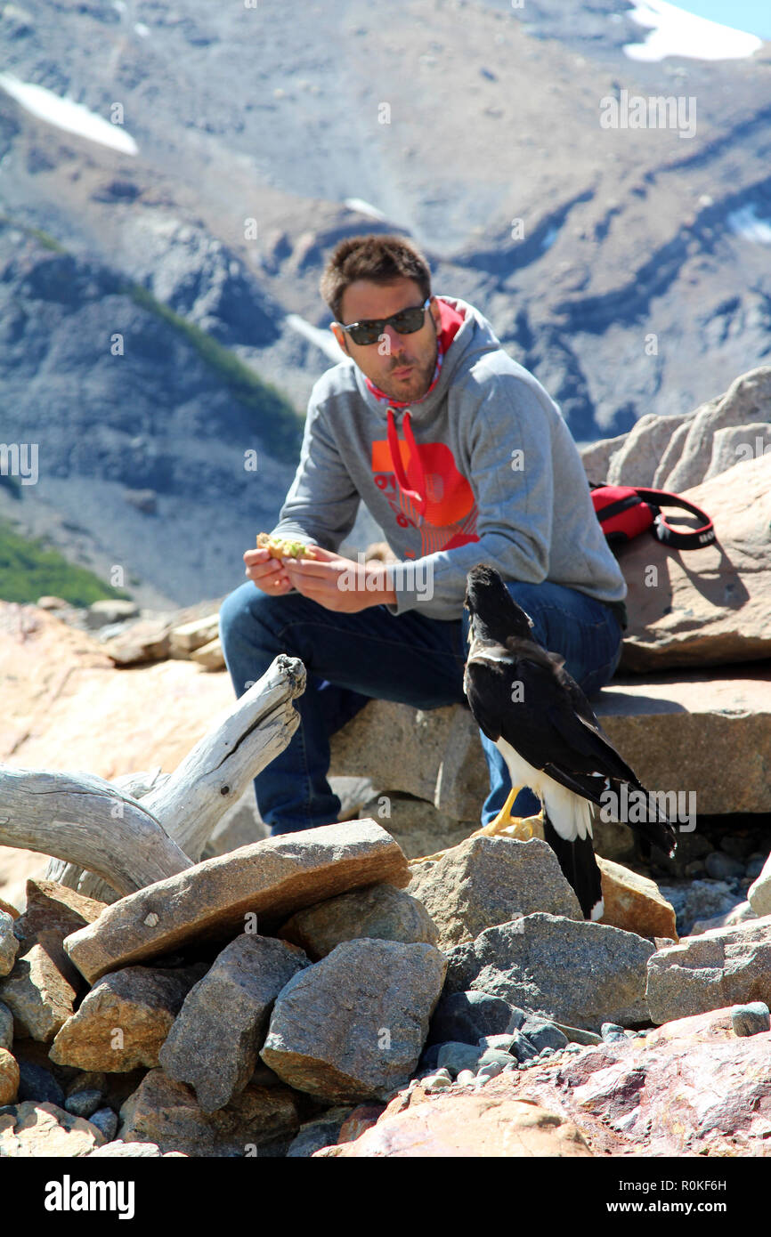 Eating sandwich park man hi-res stock photography and images - Alamy