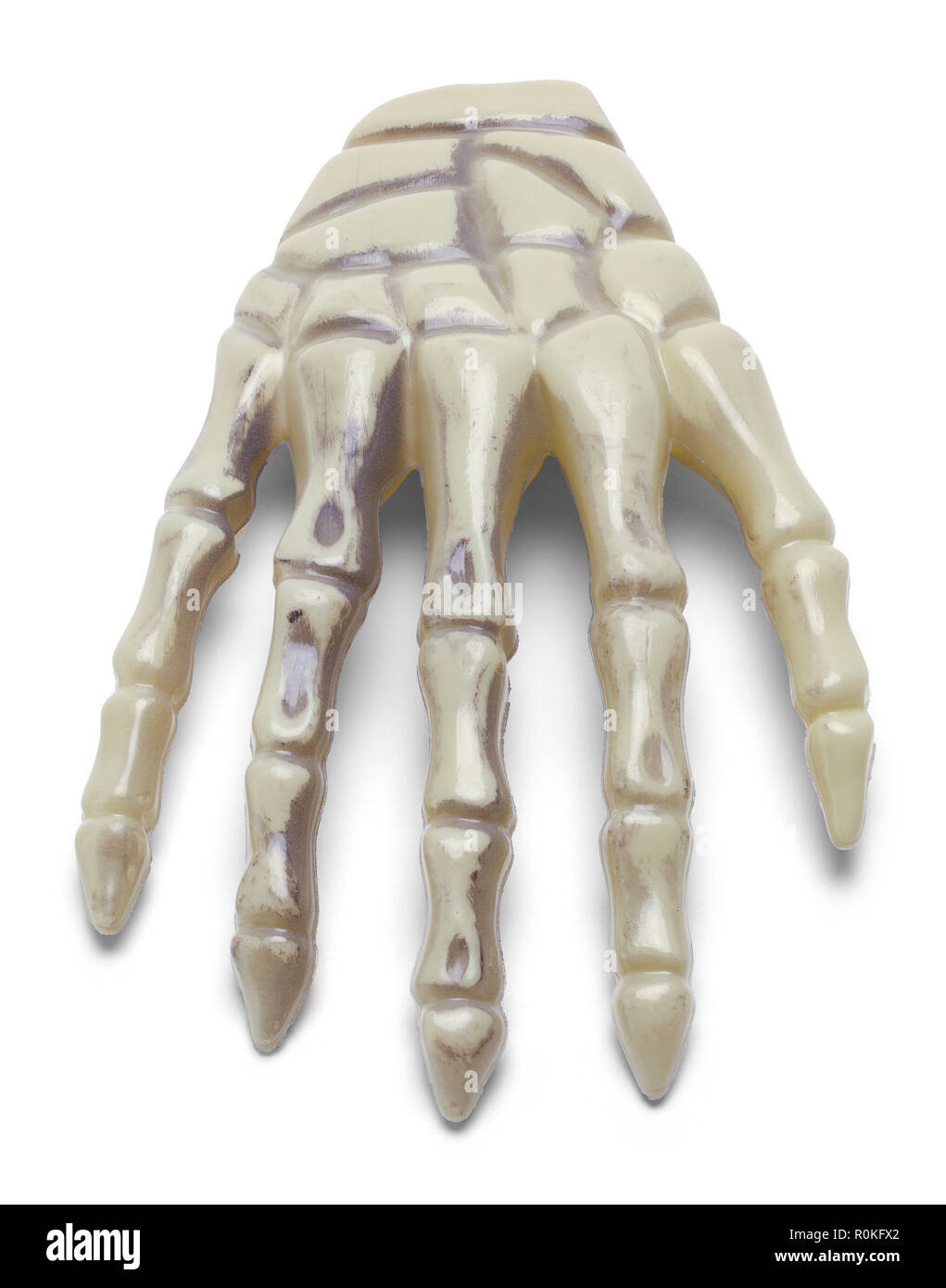 Halloween Plastic Skeleton Hand Isolated on a White Background. Stock Photo