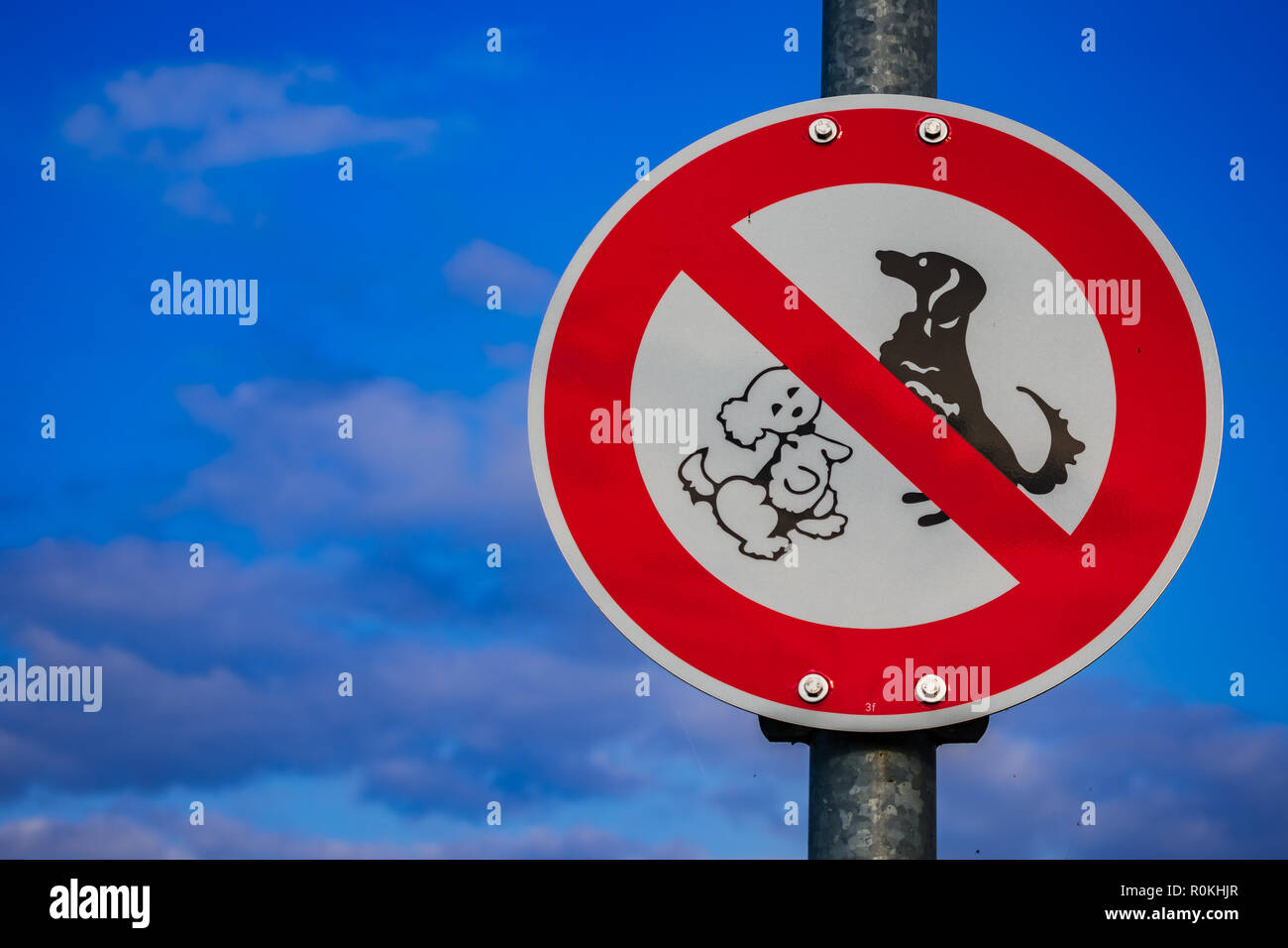 no dogs playing sign Stock Photo Alamy