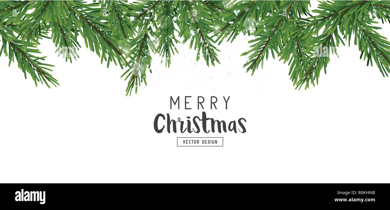 Fir tree branches christmas background layout design. Vector illustration. Stock Vector