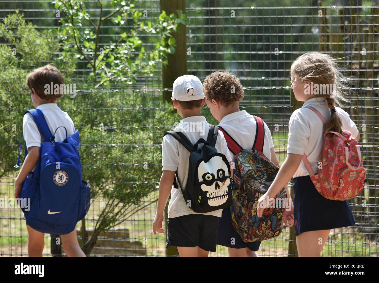 Young primary school children walking to school Stock Photo