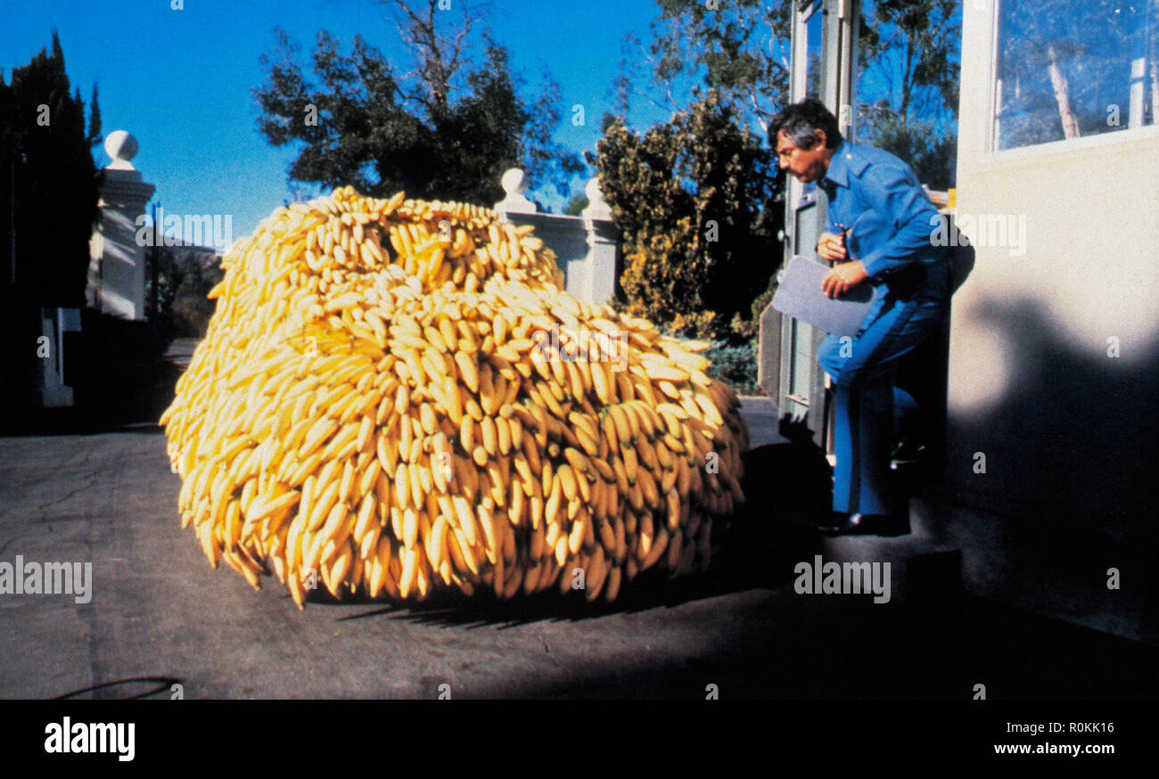 Herbie Goes Bananas, aka Herbie dreht durch, USA 1980, Regie Vincent