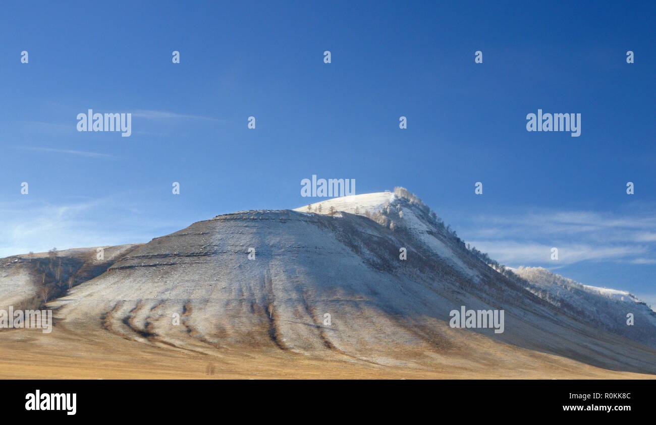 Winter landscape with a smooth hill covered with a yellow dry grass, bare trees and first snow under dark blue sky in Khakassia Stock Photo