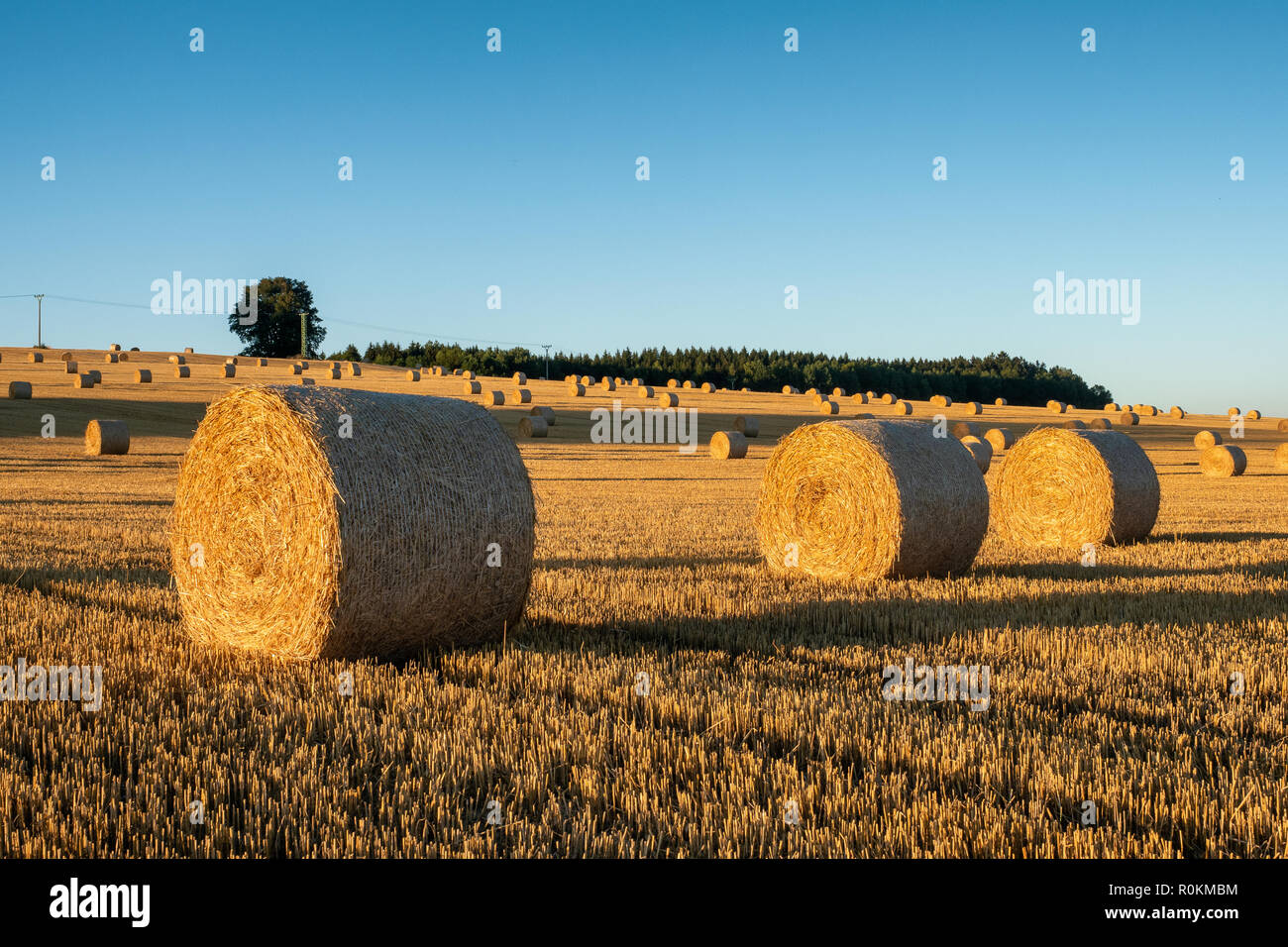 Round bales of straw on stubble field after grain harvest hi-res stock ...