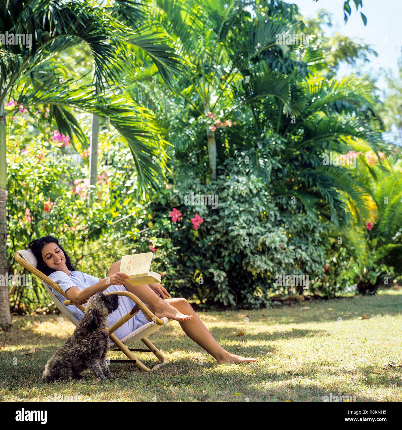 Young woman sitting in deck chair and petting her dog, tropical garden, Guadeloupe, French West Indies, Stock Photo