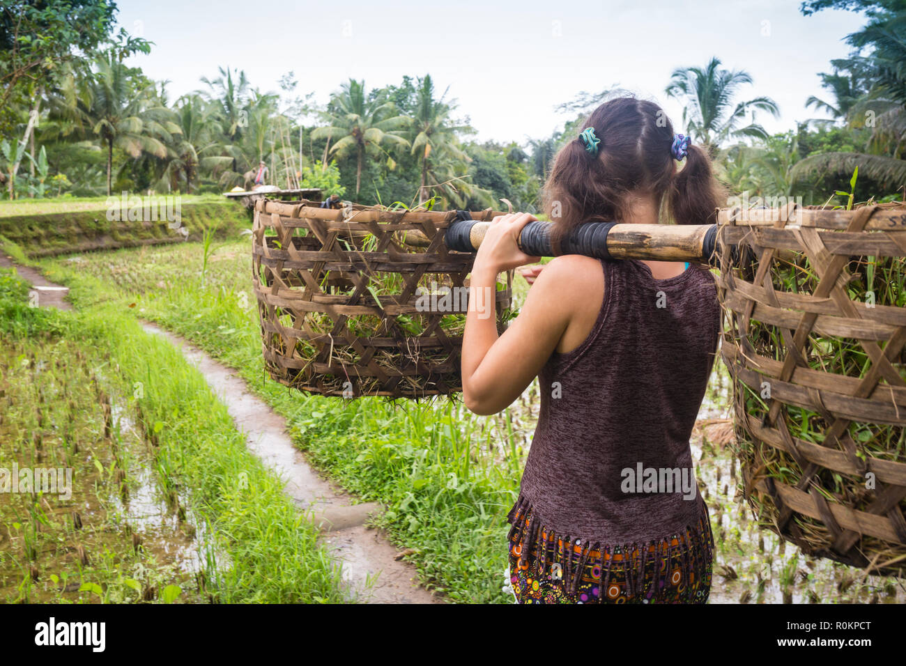 Tourist girl helps farmers to collect rice, wears collected rice in two ...