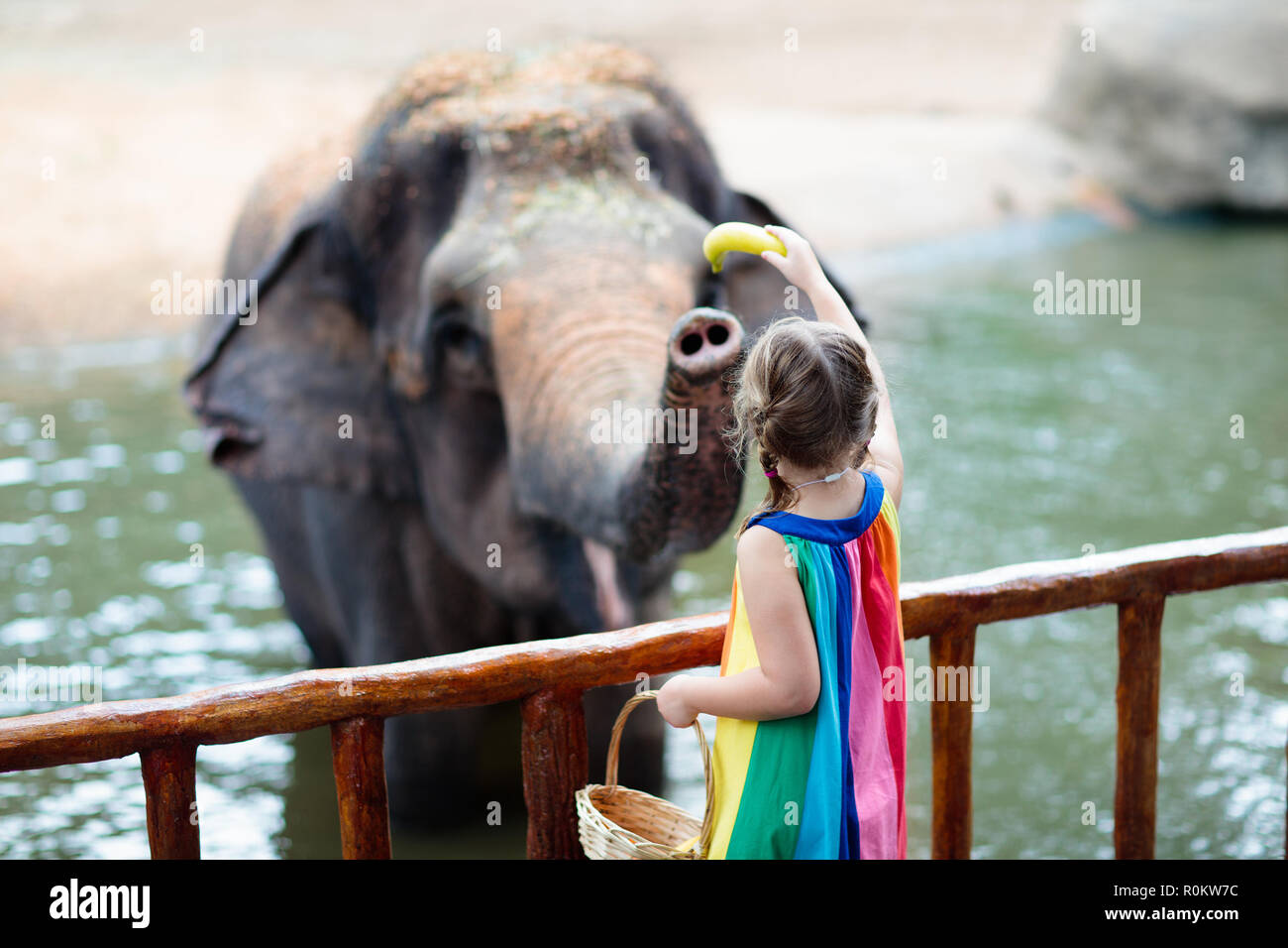 Singapore wild animal park hi-res stock photography and images - Alamy