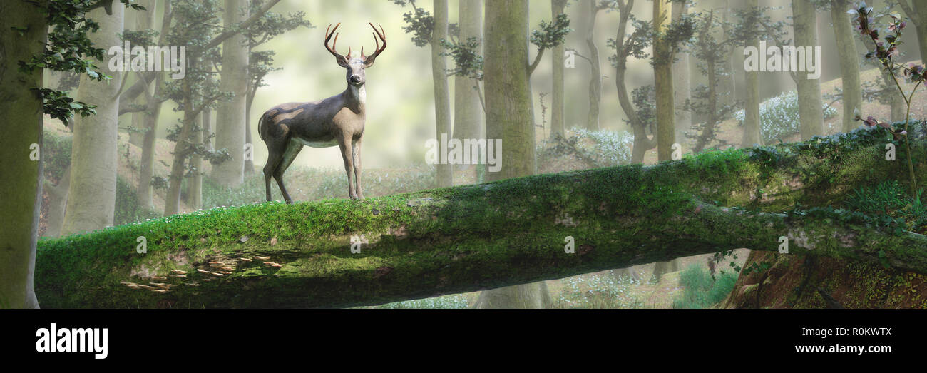 Deer Standing On Fallen Tree Bridge In Beautiful Foggy Forest Landscape Stock Photo Alamy