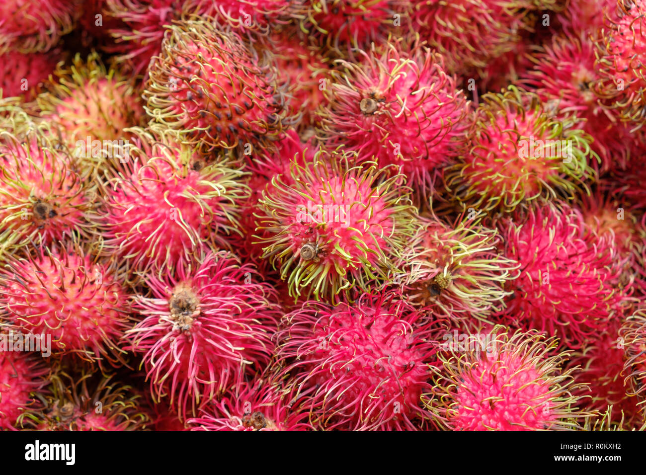 Ramboutan fruit Stock Photo Alamy