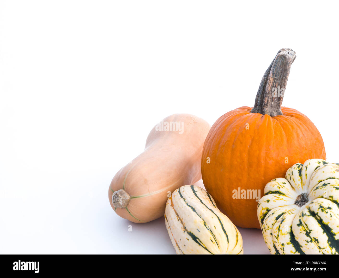 A beautiful fall or thanksgiving background with several varieties of squash including butternut, sweet dumpling, and delicata, and an orange pumpkin  Stock Photo