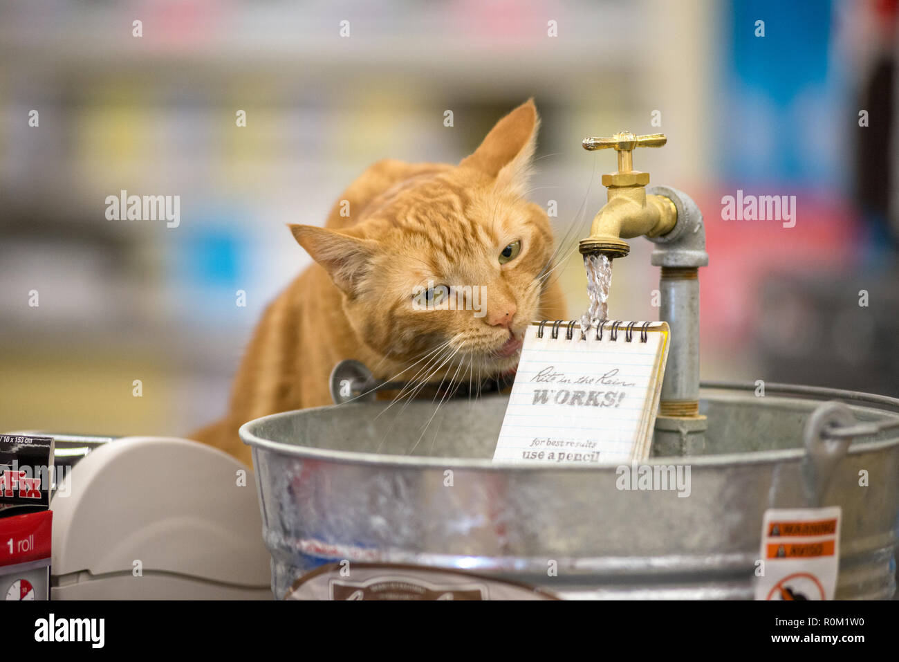 Display hardware store hires stock photography and images Alamy