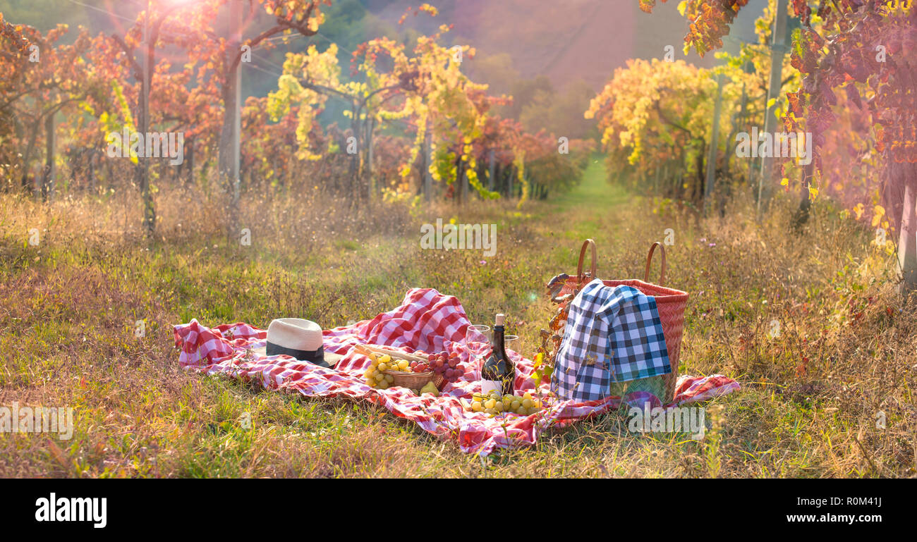 Picnic at sunset in the hills of Italy. Vineyards and open nature in