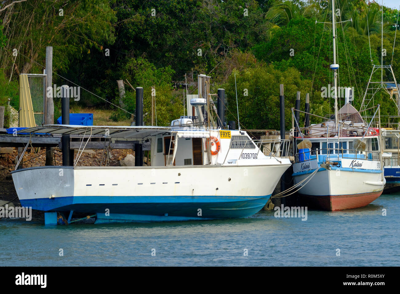 Moored boats in Yeppoon Stock Photo Alamy