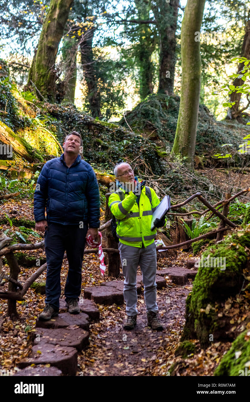 Lantra professional tree inspectors certificate hires stock photography and images Alamy
