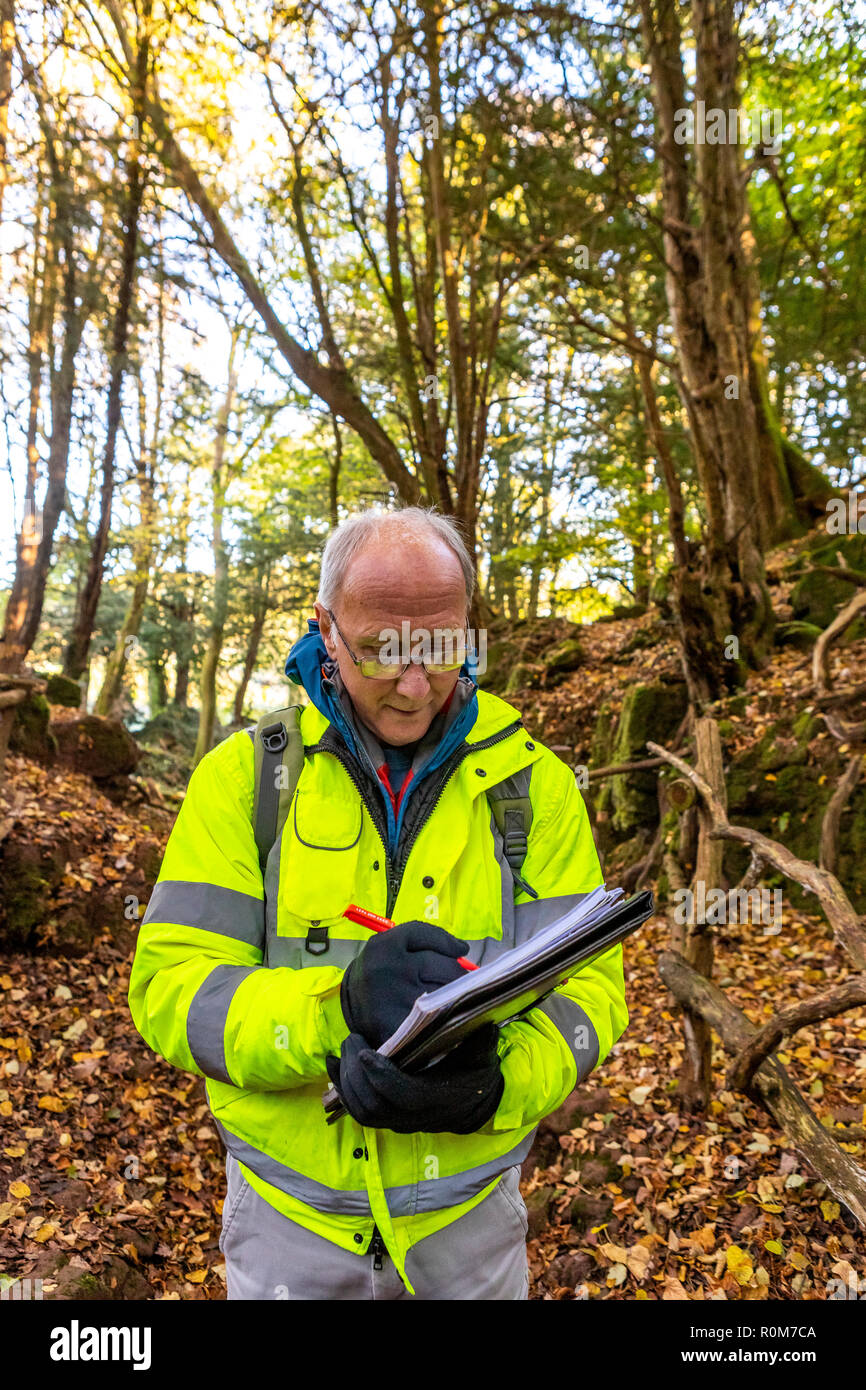 Lantra professional tree inspectors certificate hires stock photography and images Alamy