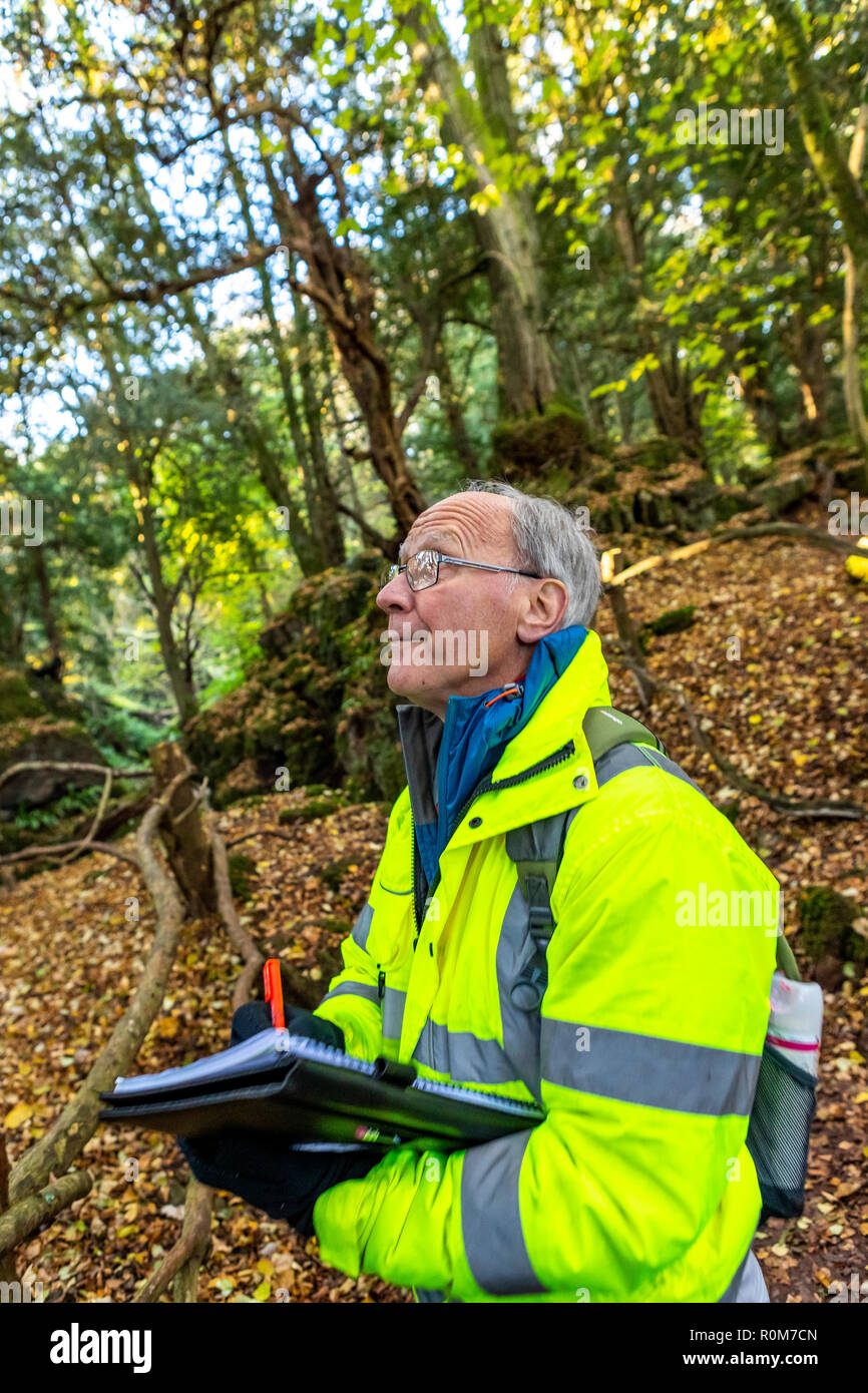Lantra professional tree inspectors certificate hires stock photography and images Alamy
