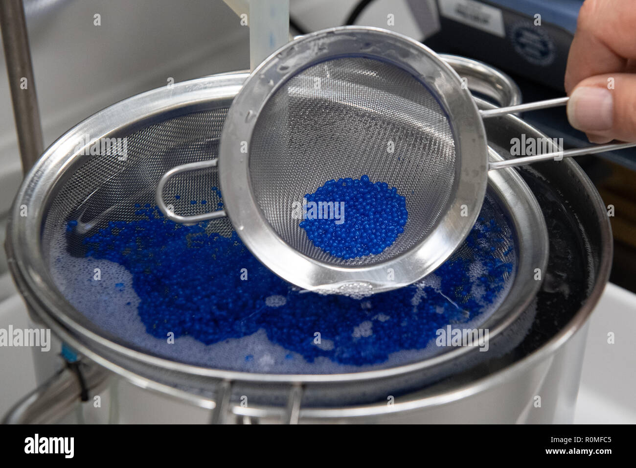 Holzminden, Germany. 23rd Oct, 2018. An employee of Symrise AG holds a sieve with "ActiPearls" at the encapsulation system. Symrise is one of the world's leading suppliers of fragrances and flavors. Credit: Swen Pförtner/dpa/Alamy Live News Stock Photo