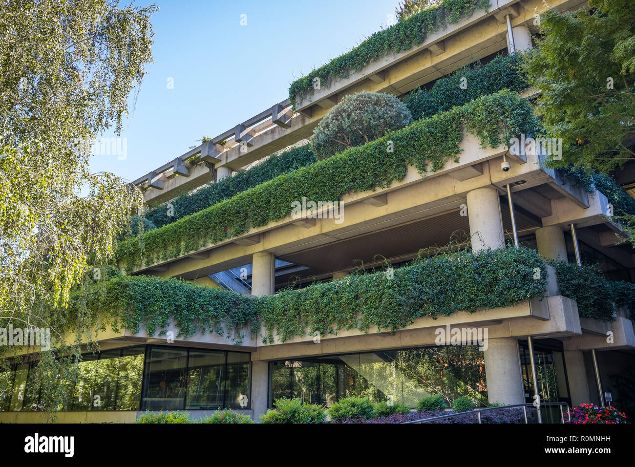 Building covered in green vines and surrounded by trees close to downtown Sacramento, California Stock Photo
