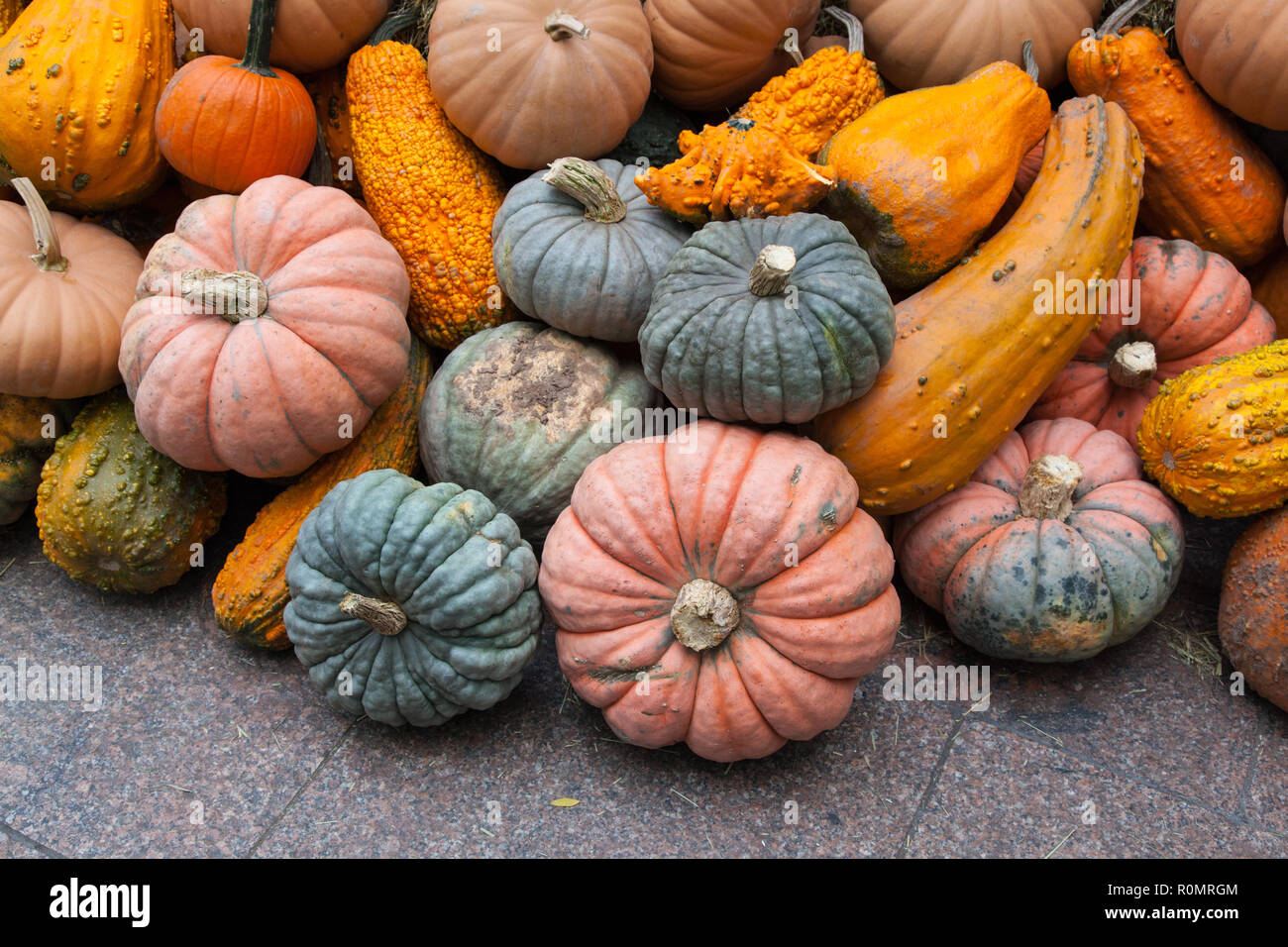 Pumpkin display at Broadway Bites a pop-up in summer and fall, Greeley Square, showcasing a diverse mix of cuisines from local chefs, New York, U.S.A Stock Photo