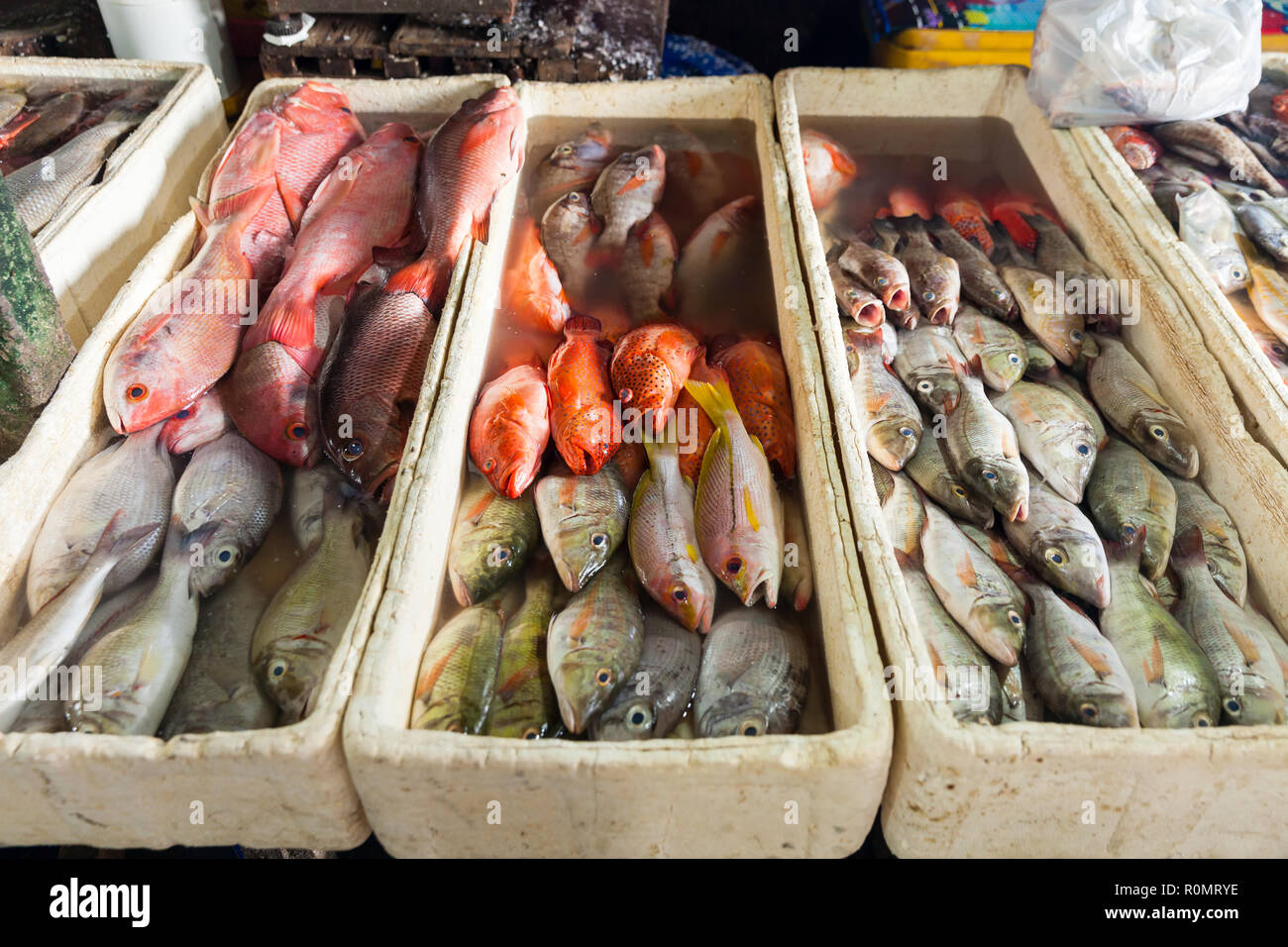 Fresh seafood on fish market tropical beach Bali, Indonesia Stock Photo -  Alamy