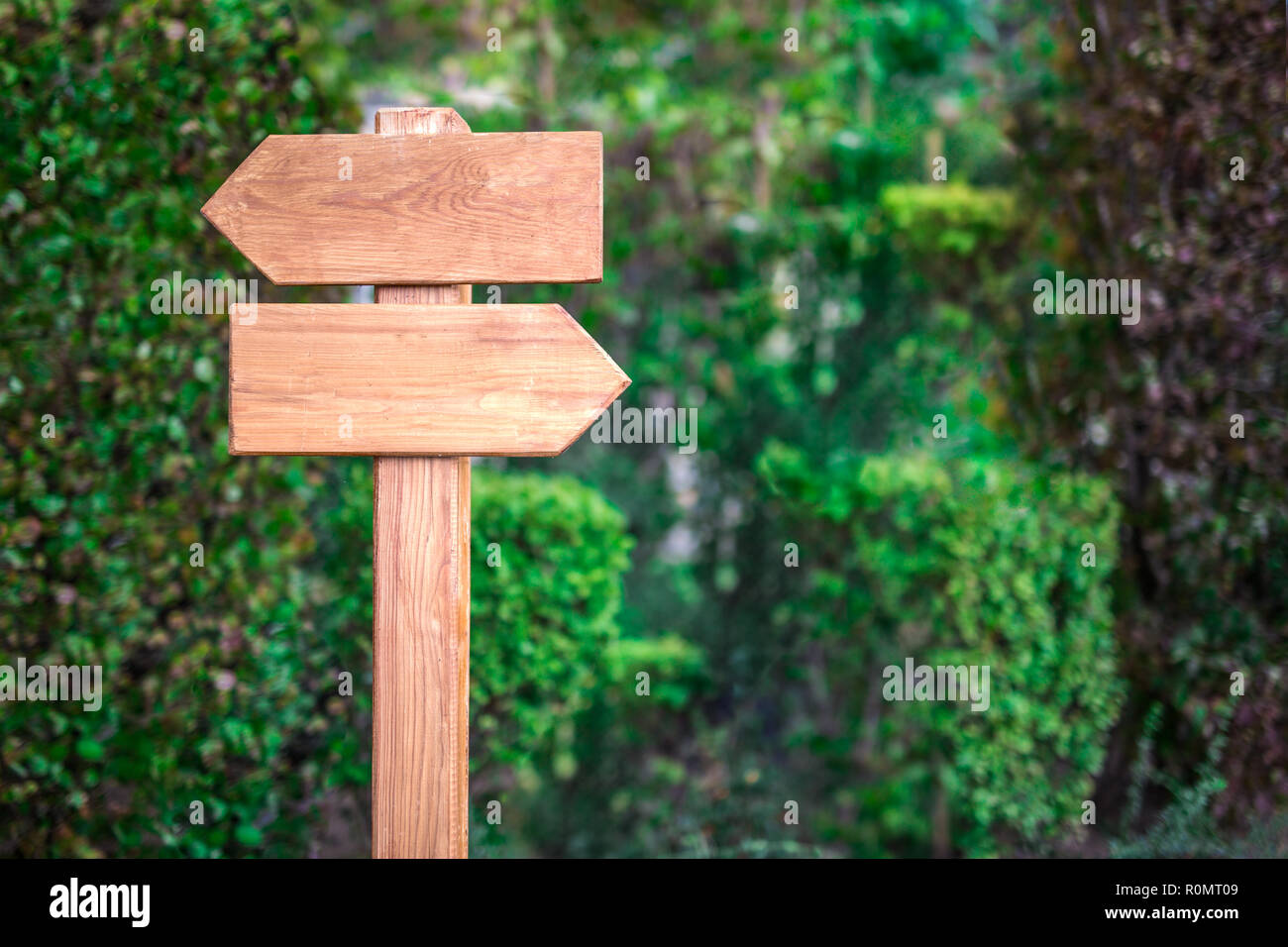 Wooden signage in the forest for direction, closeup wooden arrows