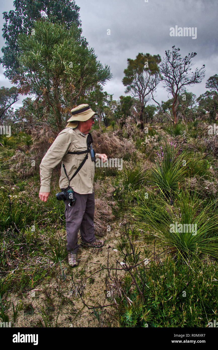 tour guide Geoff spots something in Australian bush Stock Photo