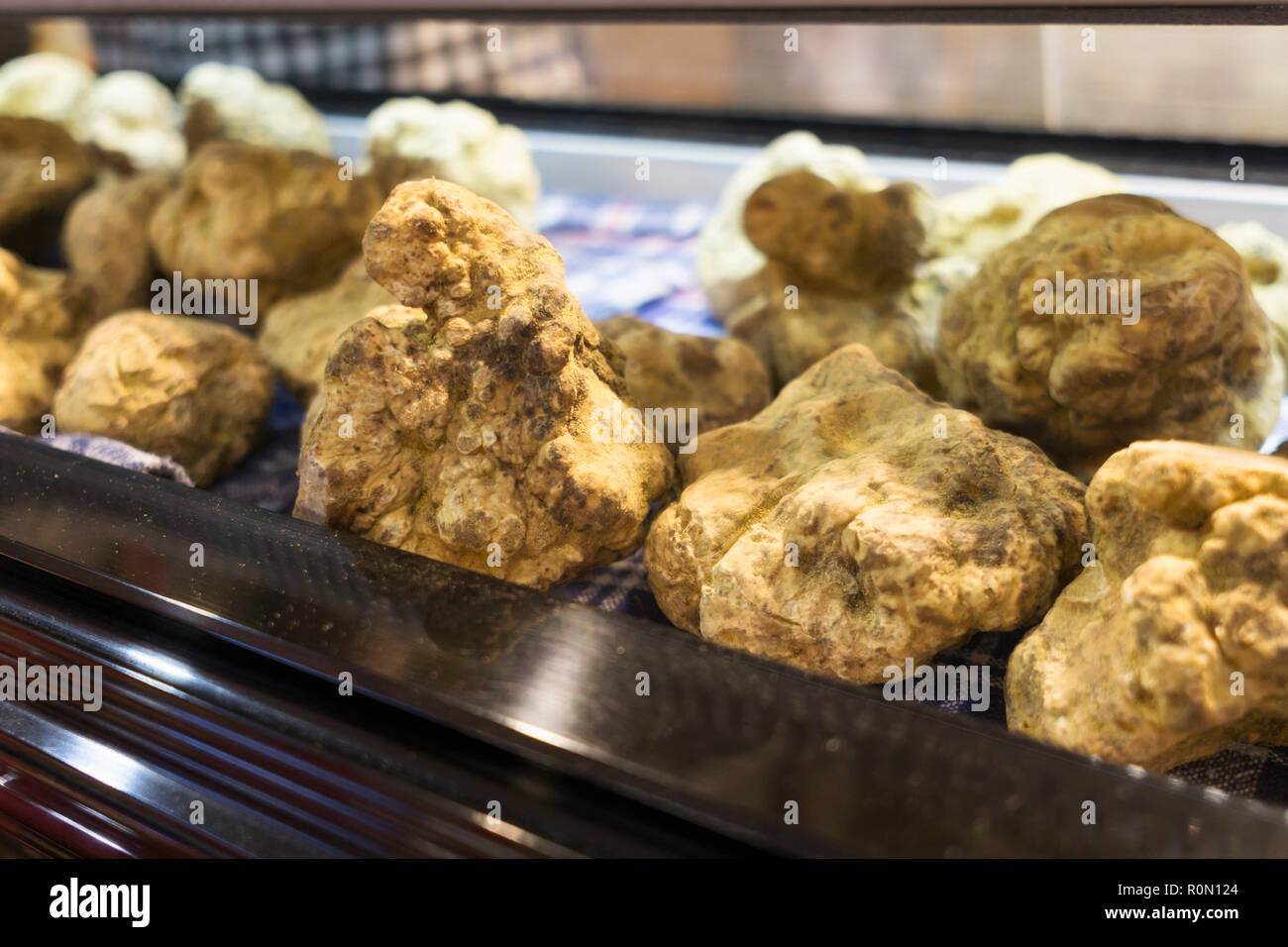 Alba white truffle Stock Photo