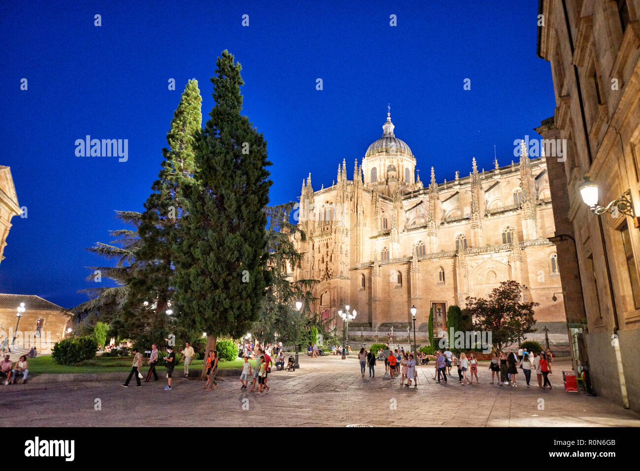 New Cathedral of Salamanca, Salamanca City, Spain, Europe Stock Photo
