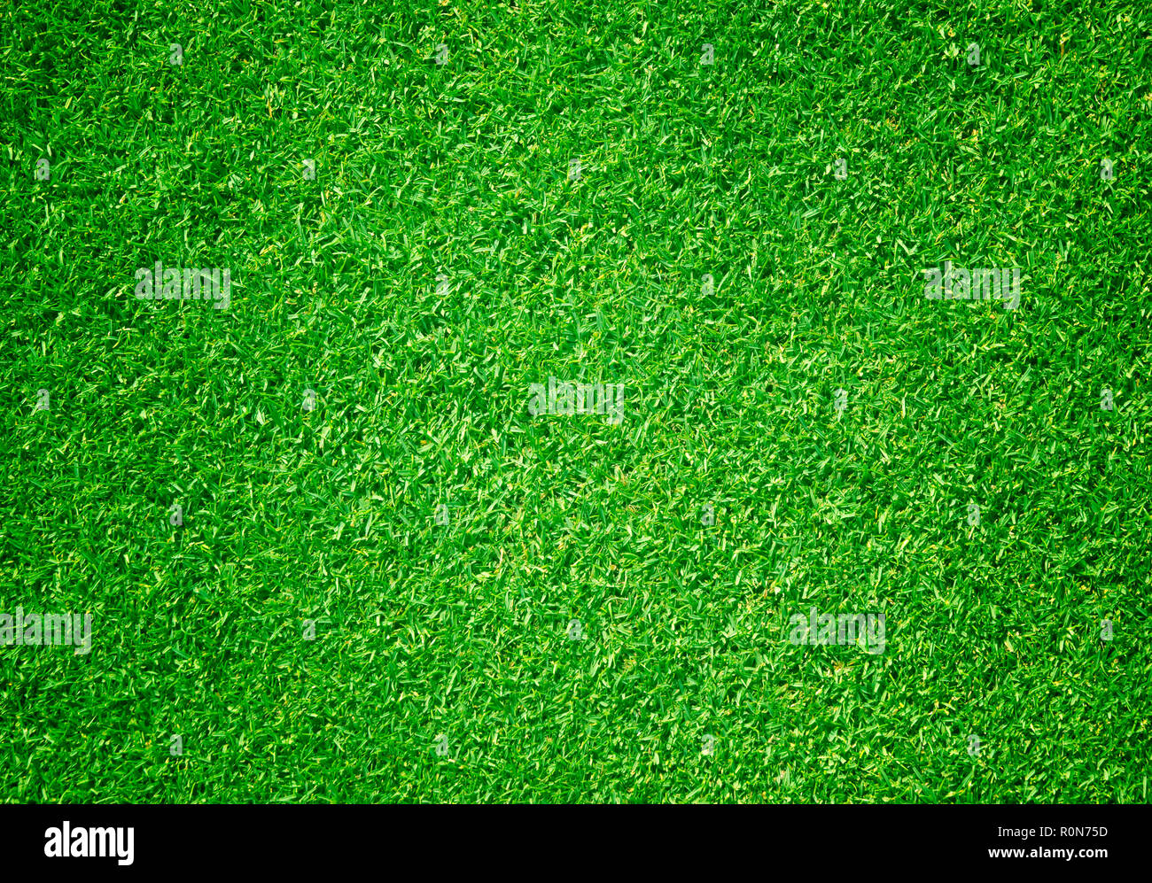 Natural background of green grass Small grass football ground Stock Photo