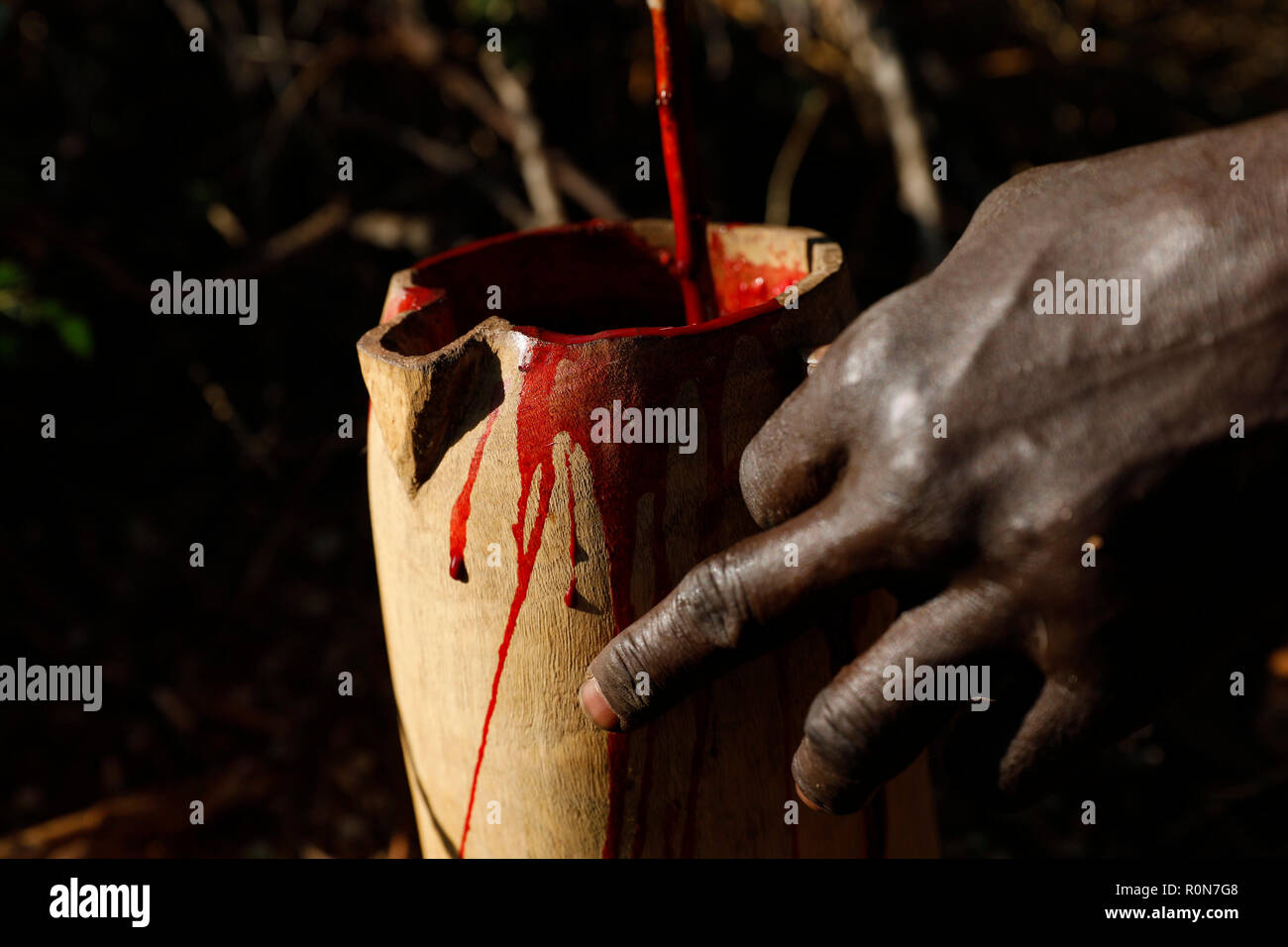 A man mixes blood freshly pierced from an artery of a bull during a  ceremony in a Pokot community of herdsmen in Baringo County, Kenya, October 2, 20 Stock Photo