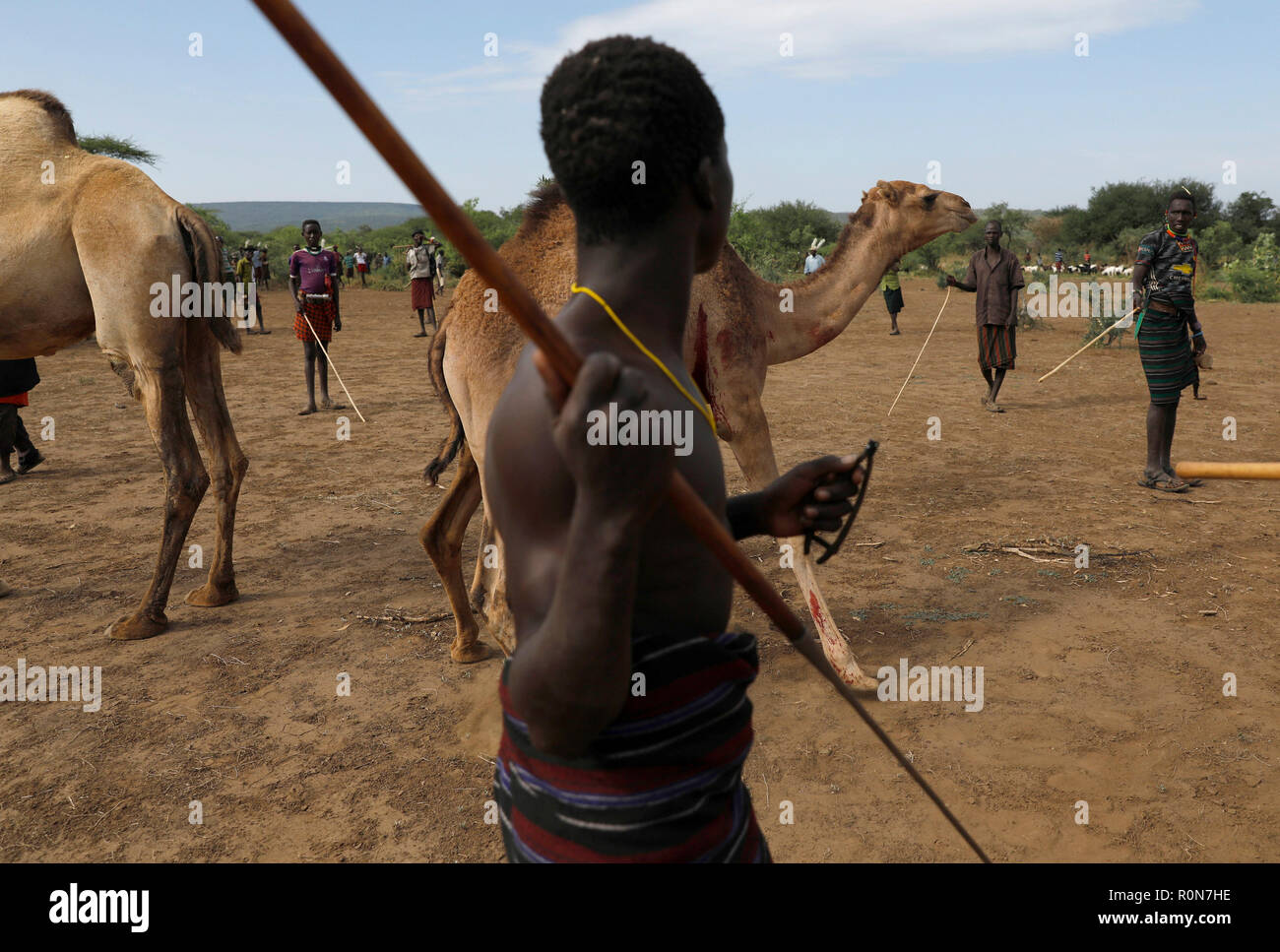 A man spears a camel during a ceremony into adulthood in a Pokot community of herdsmen in Baringo County, Kenya, October 2, 2018. Stock Photo