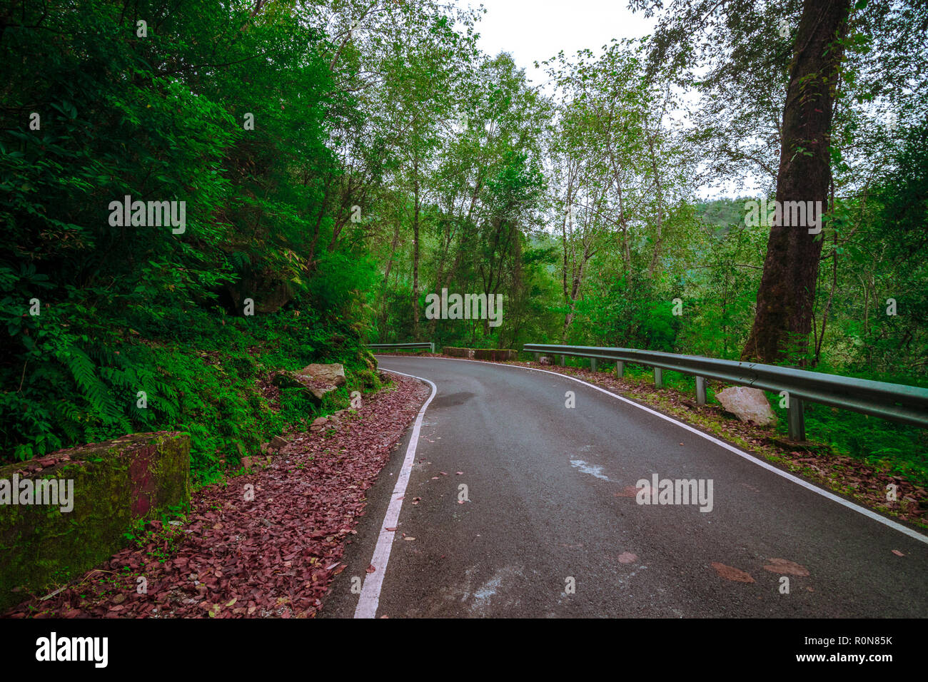 Empty Road in Mountain Stock Photo