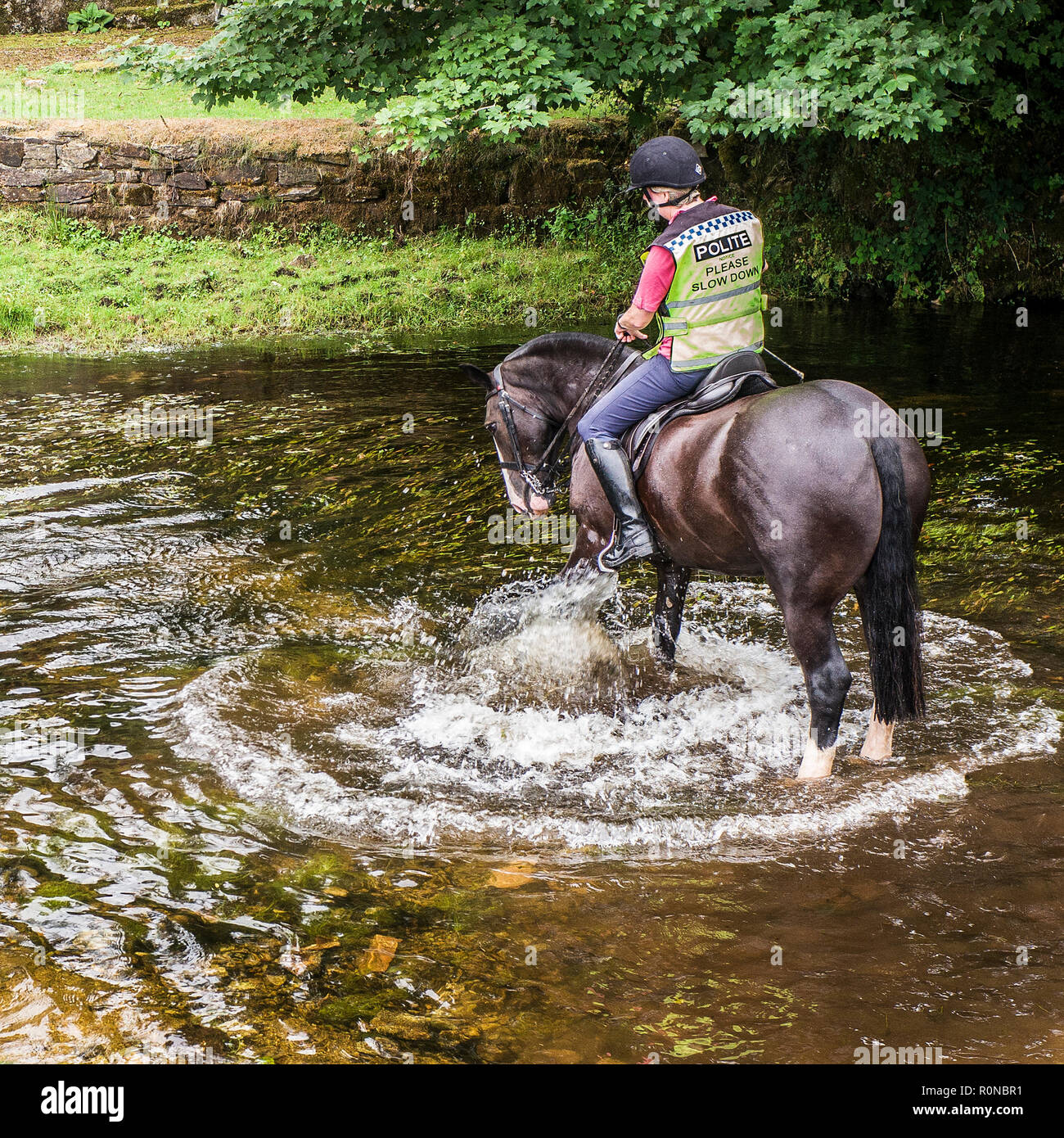 Riding horses in a stream hires stock photography and images Alamy
