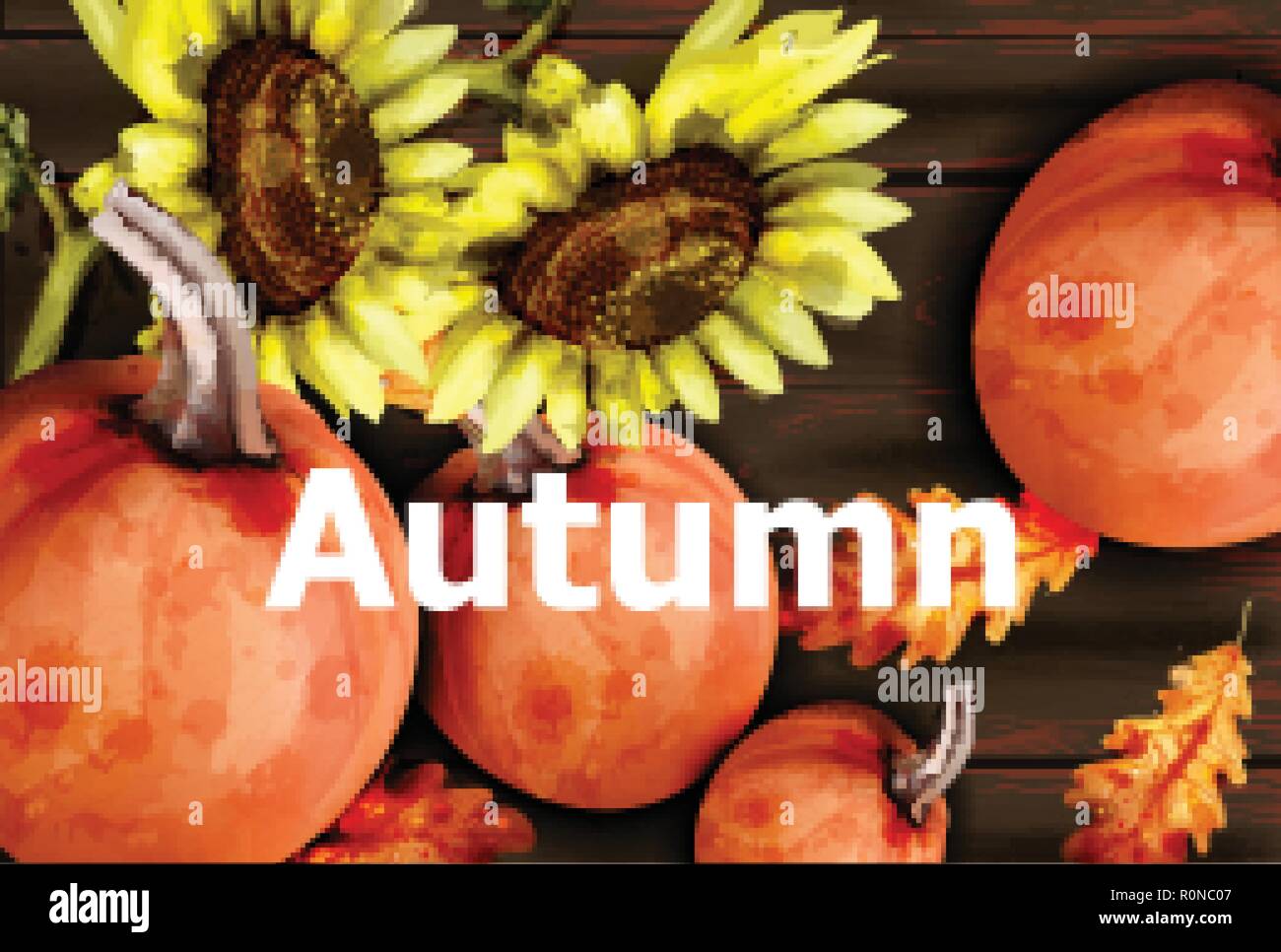 Autumn card with pumpkins and sunflower Vector watercolor style decor ...